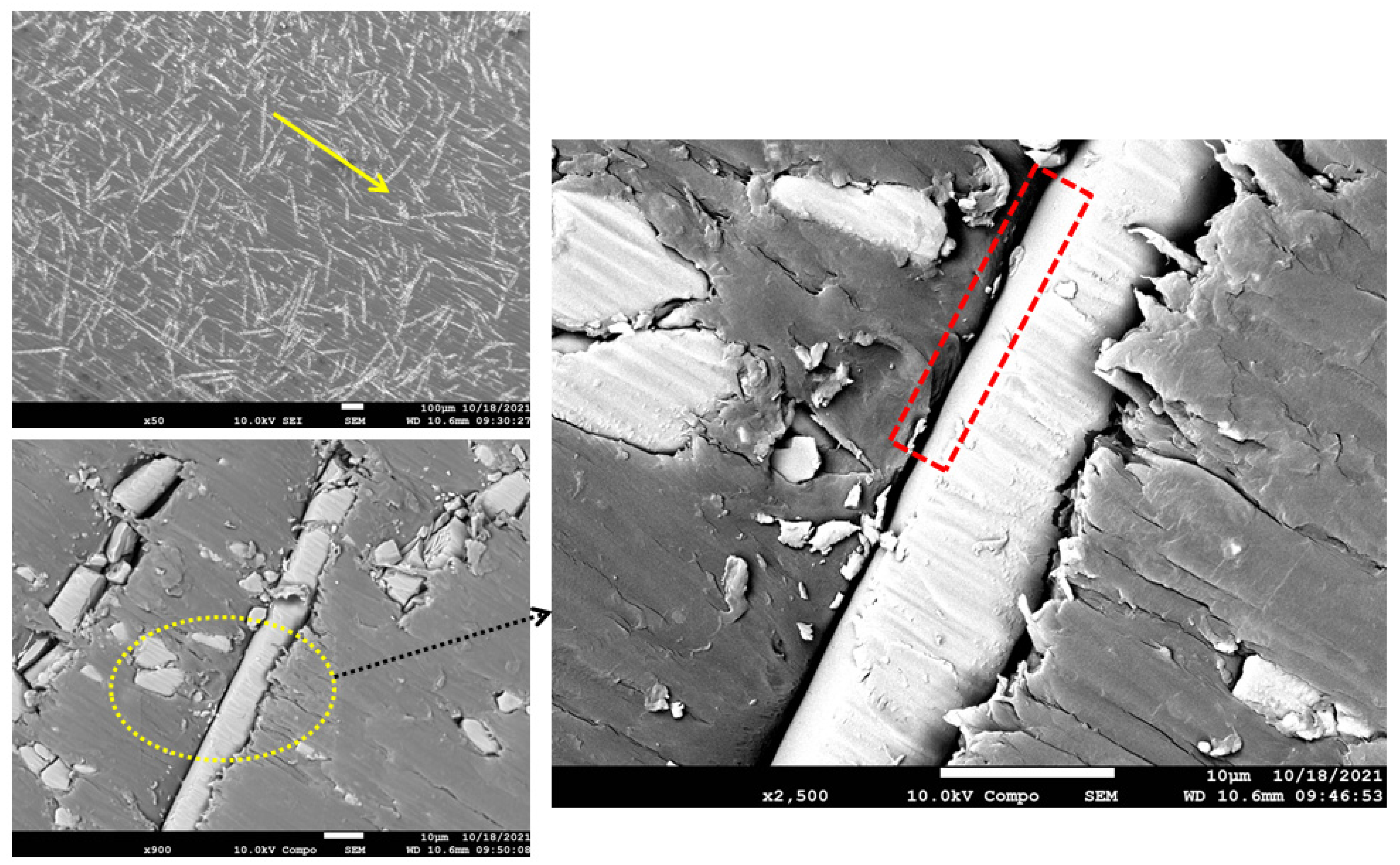 Polymers 15 00694 g016