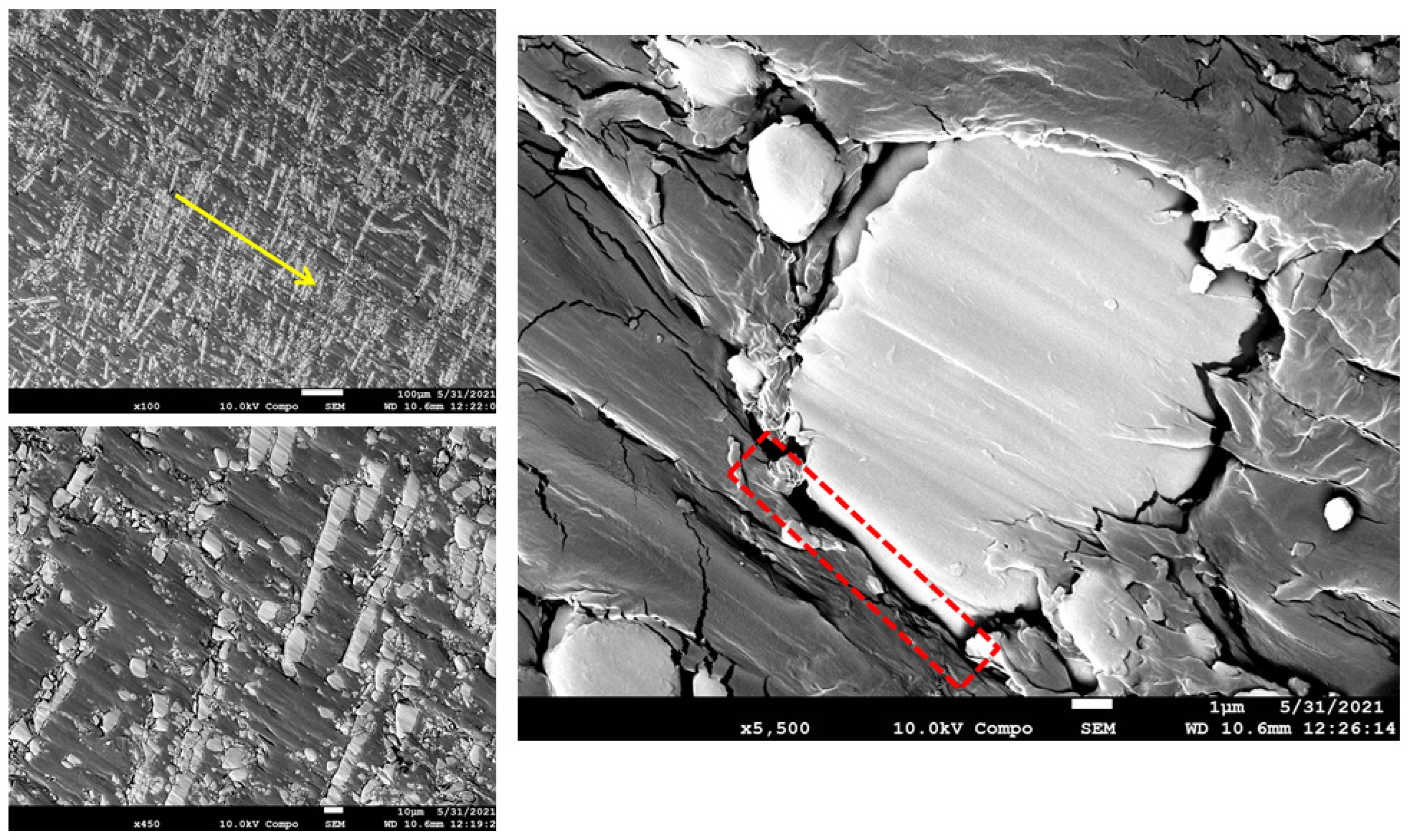 Polymers 15 00694 g017