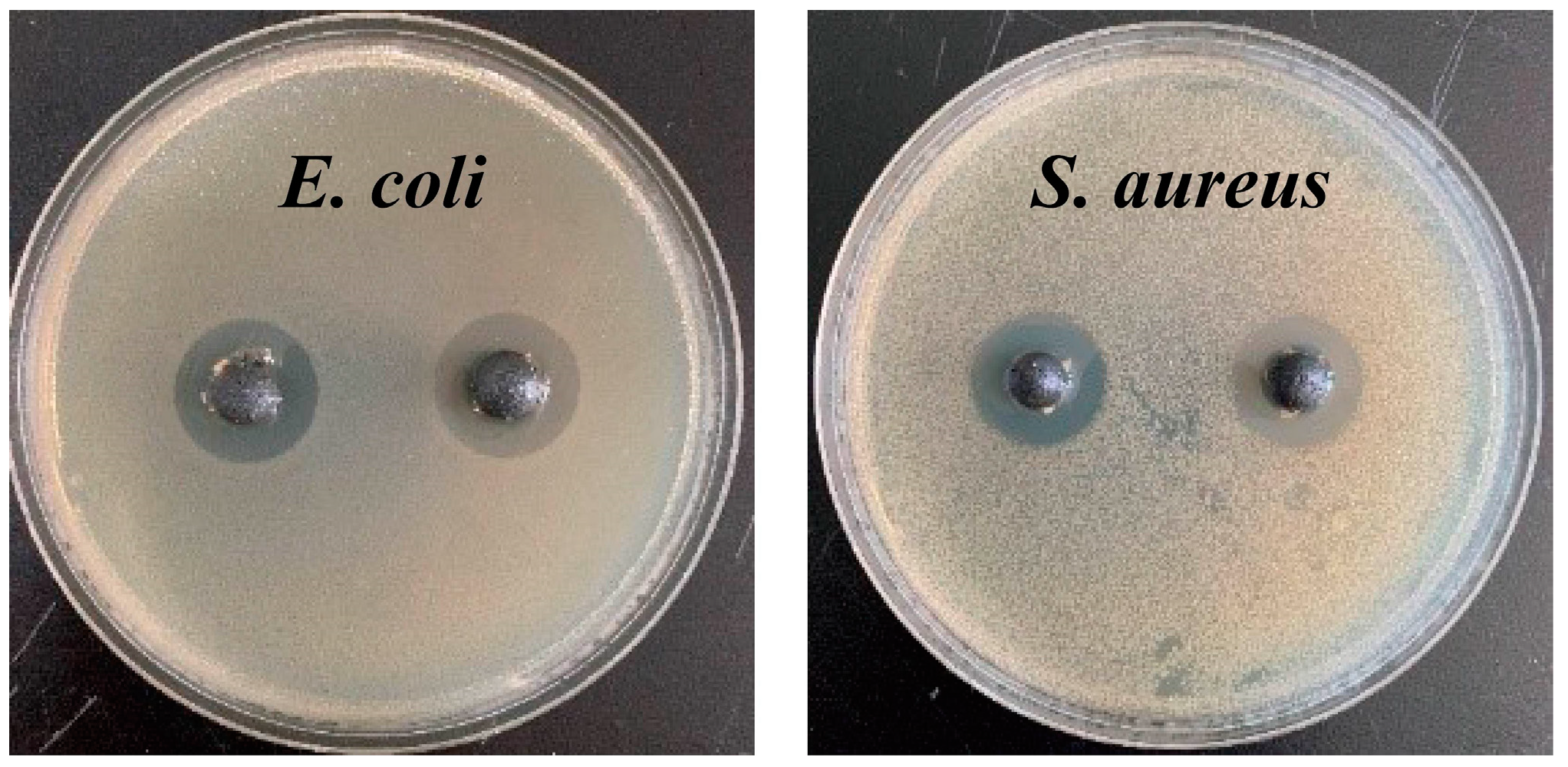 Polymers 15 00695 g004 Polymers 15 00695 g004