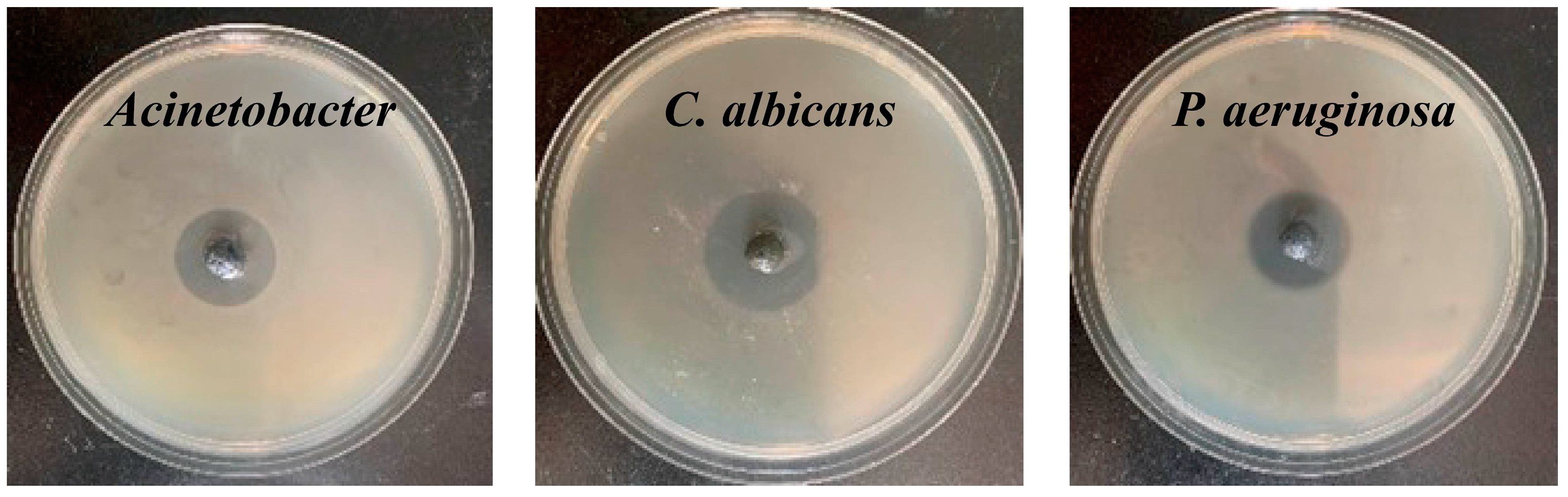 Polymers 15 00695 g006 Polymers 15 00695 g006