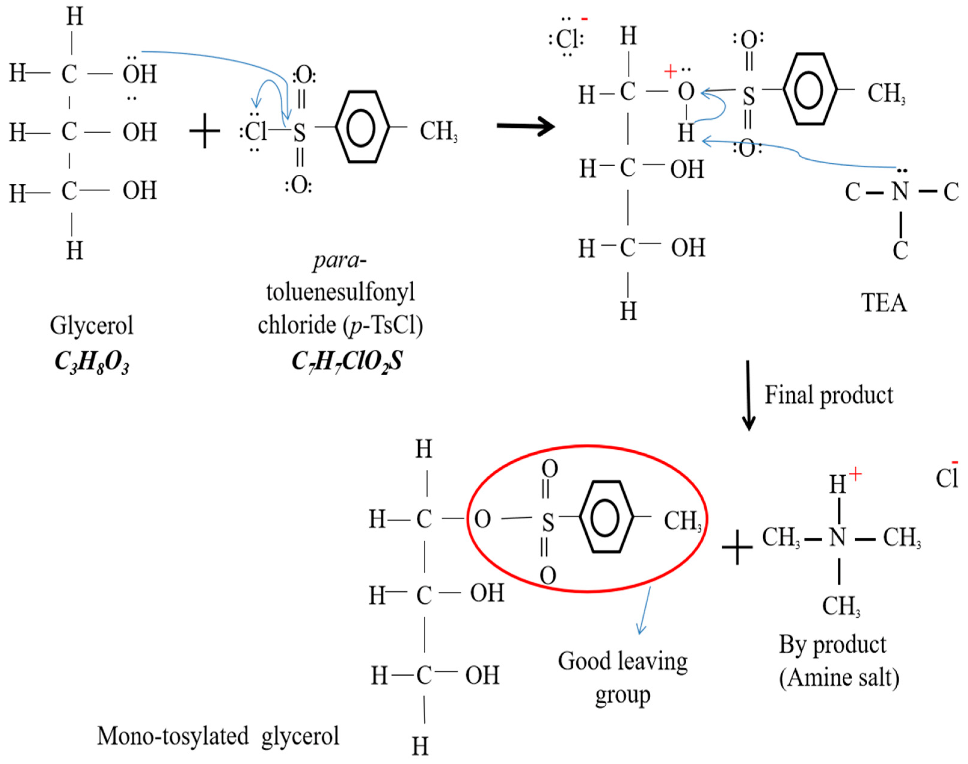 Polymers 15 00698 g002