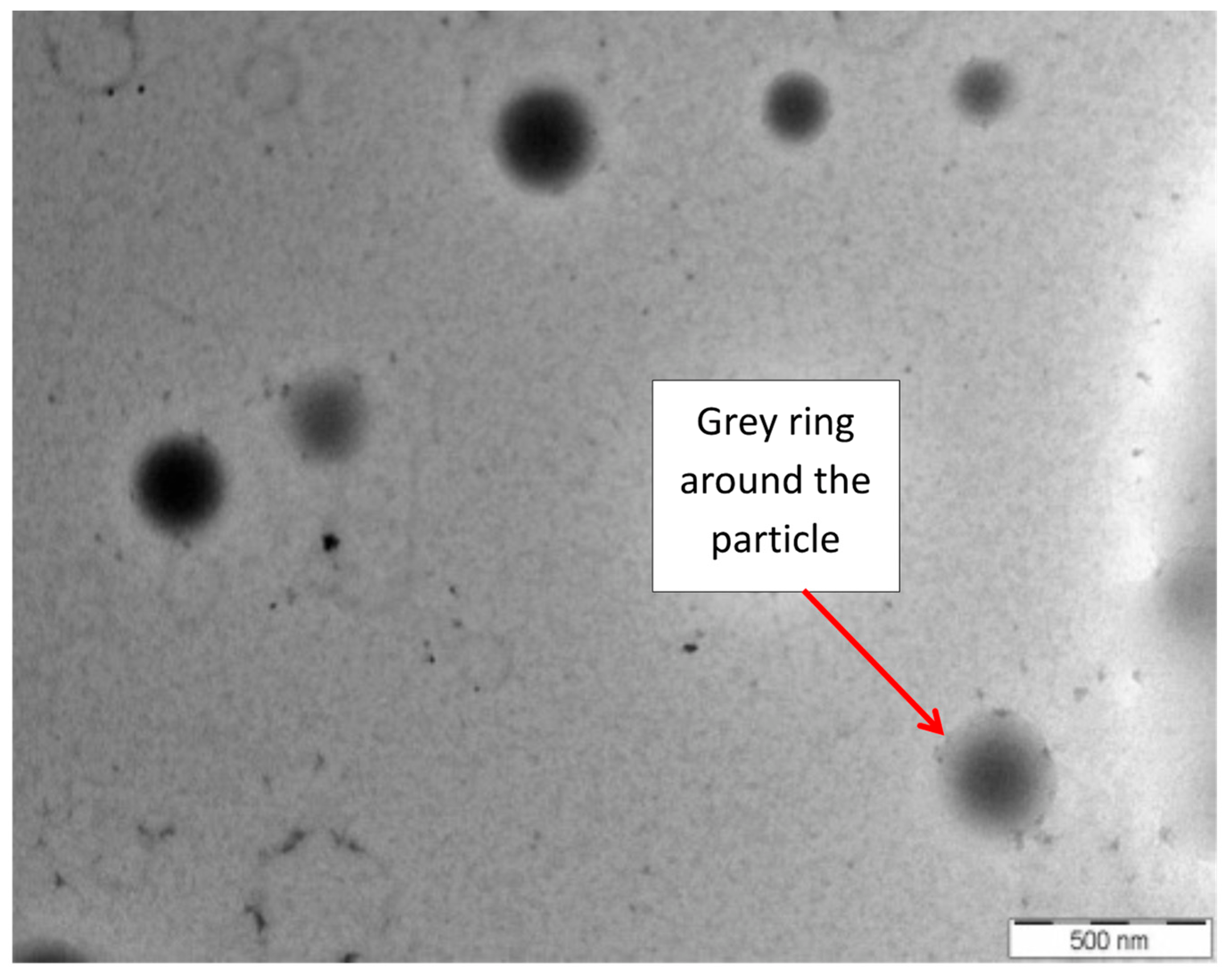 Polymers 15 00698 g006