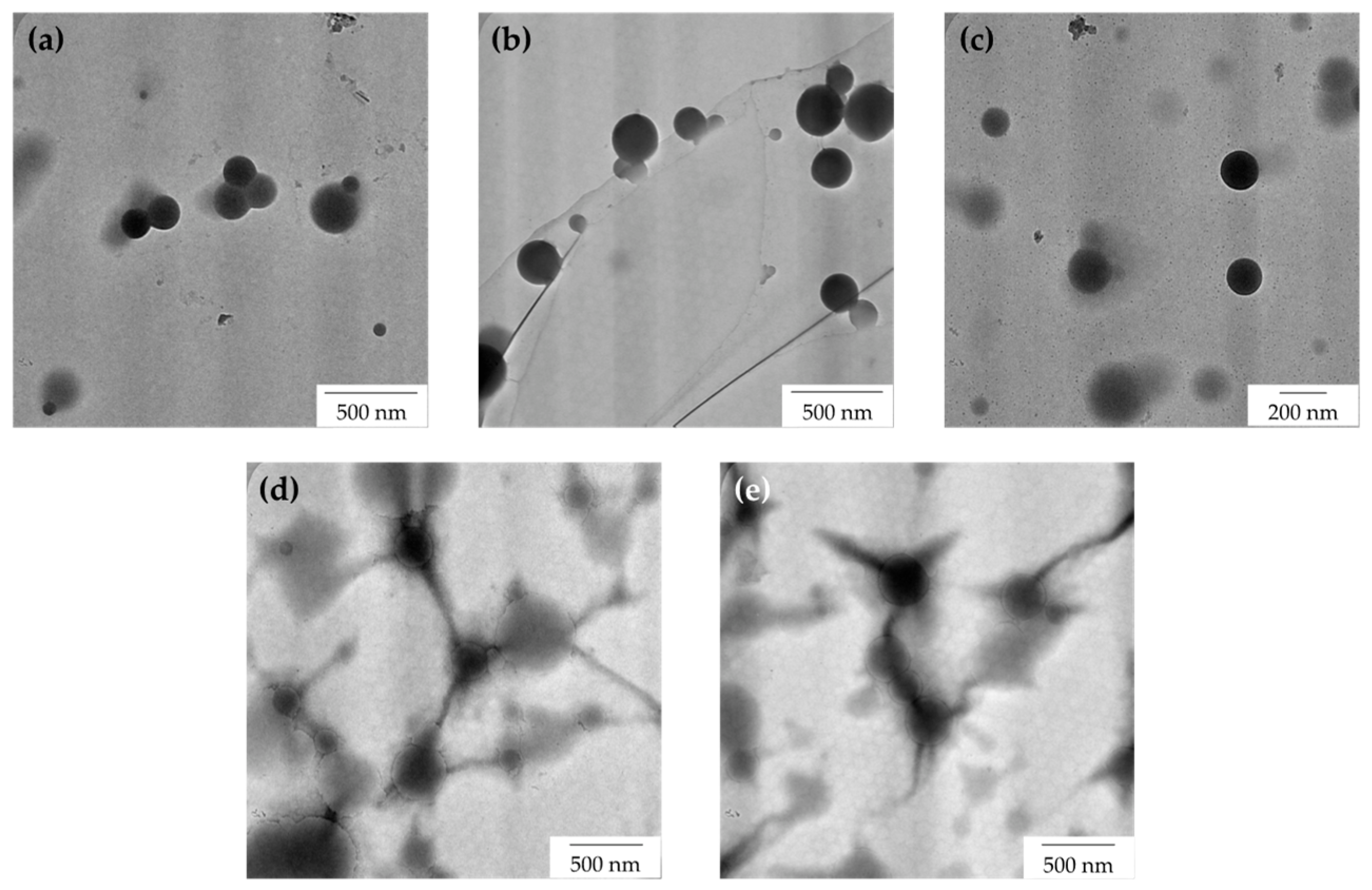 Polymers 15 00698 g008