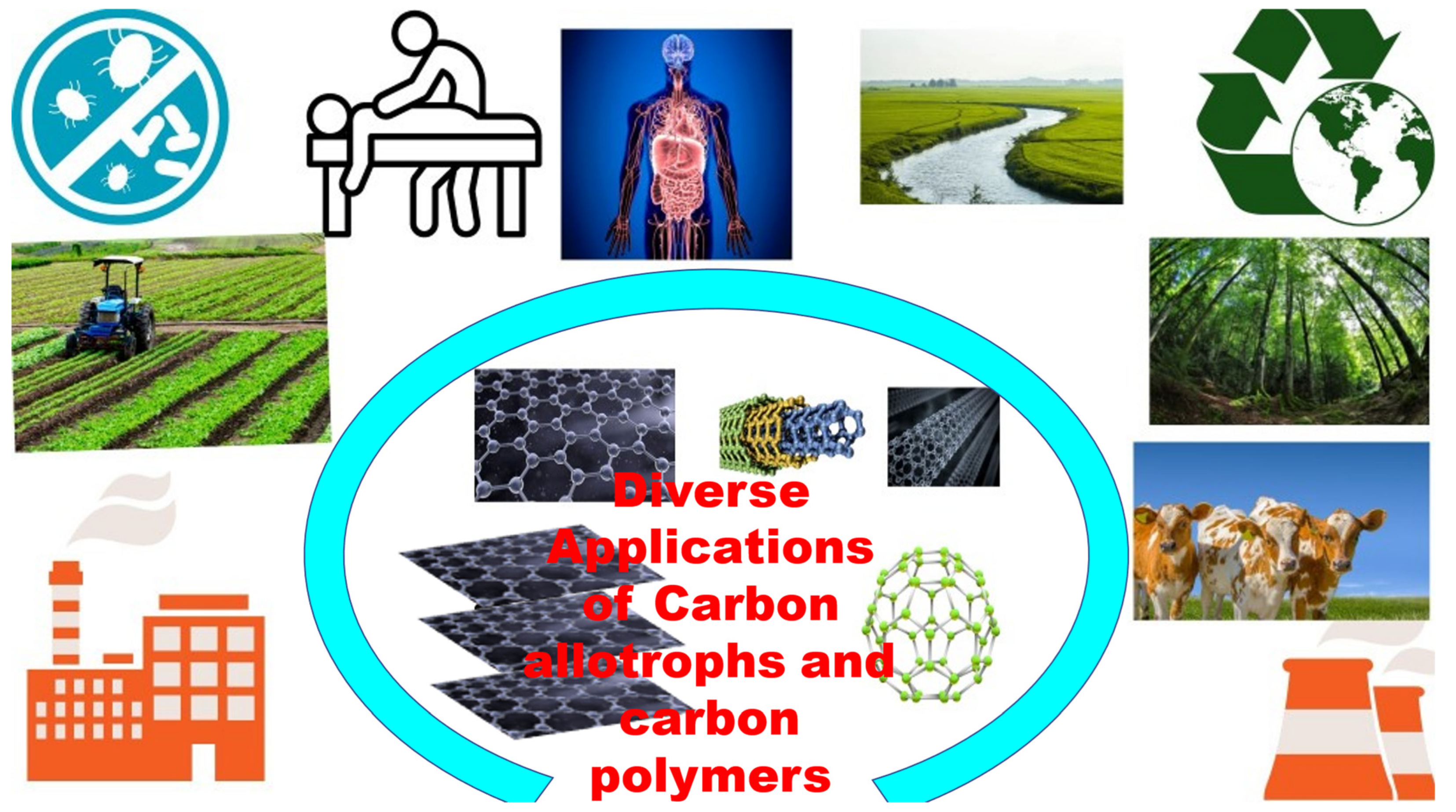 Polymers 15 00701 g002