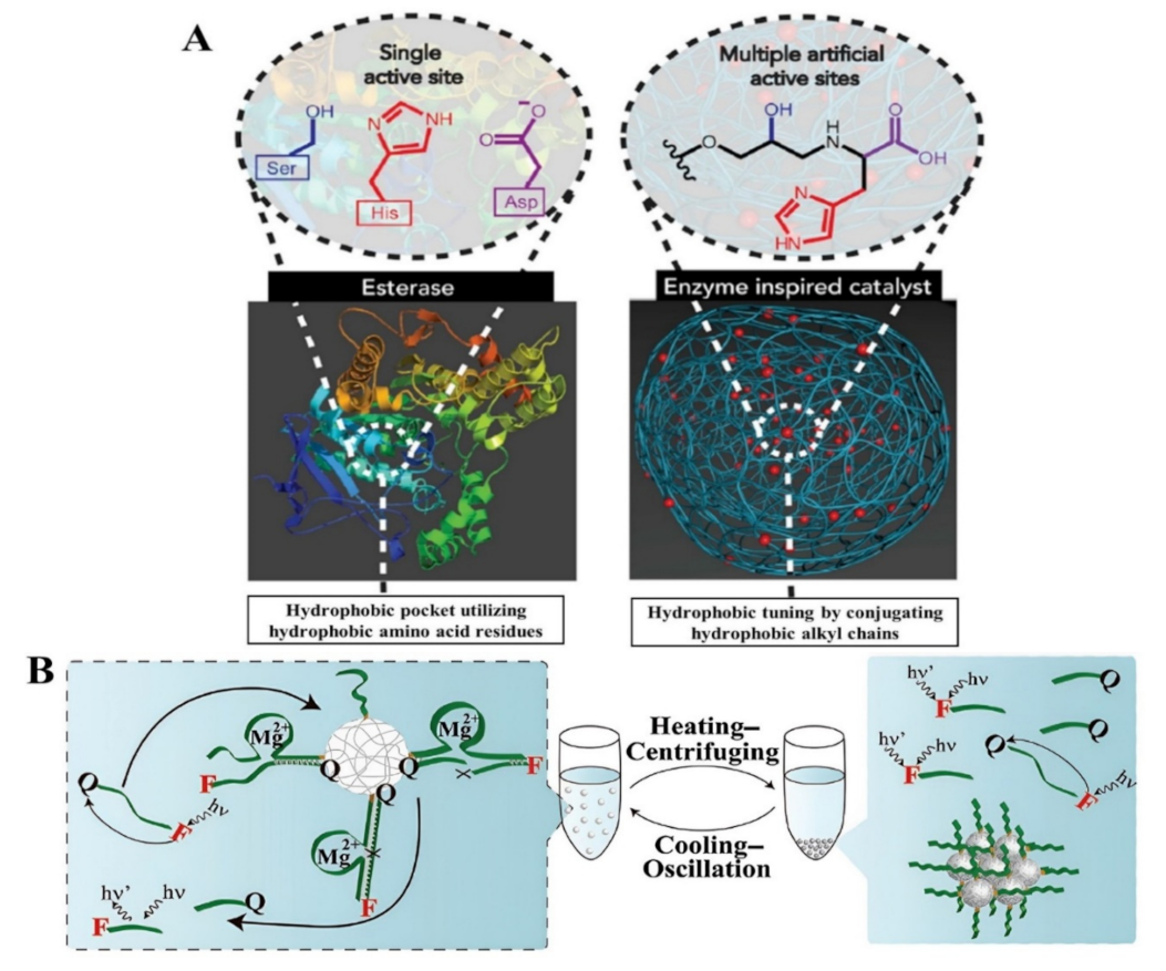 Polymers 15 00703 g002 Polymers 15 00703 g002