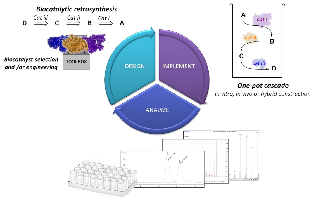 Polymers 15 00703 g003 Polymers 15 00703 g003
