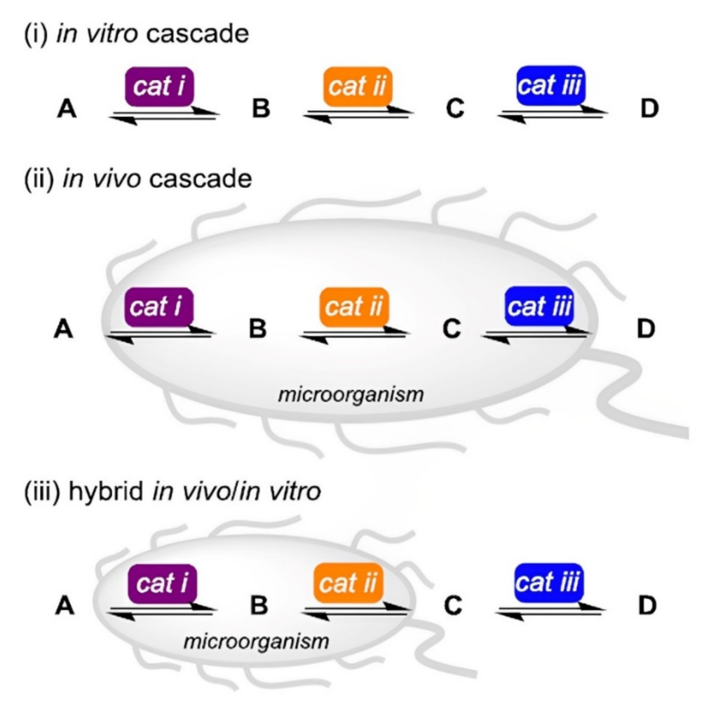 Polymers 15 00703 g004 Polymers 15 00703 g004