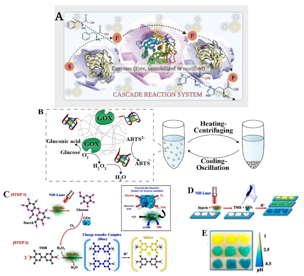 Polymers 15 00703 g005 Polymers 15 00703 g005