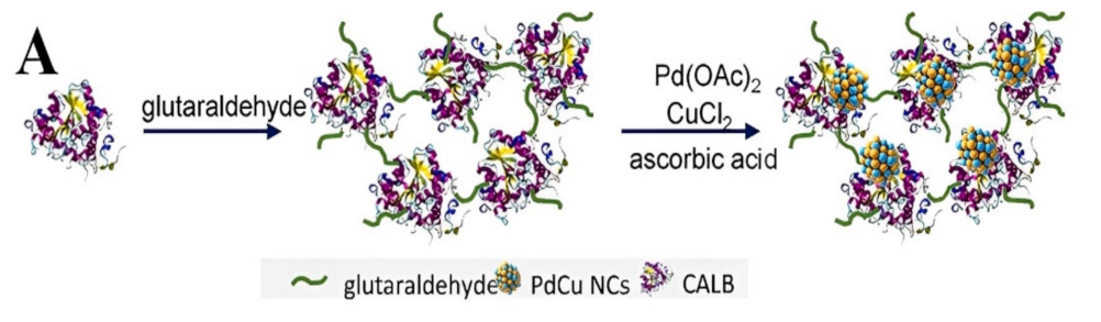 Polymers 15 00703 g008a Polymers 15 00703 g008a
