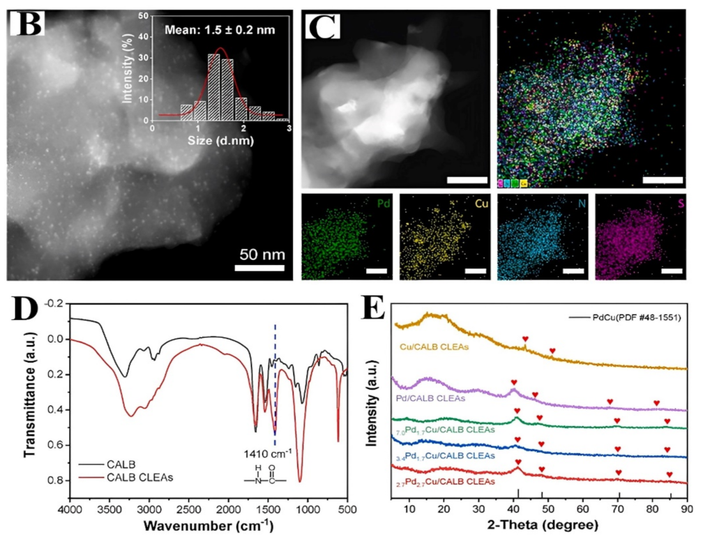 Polymers 15 00703 g008b Polymers 15 00703 g008b