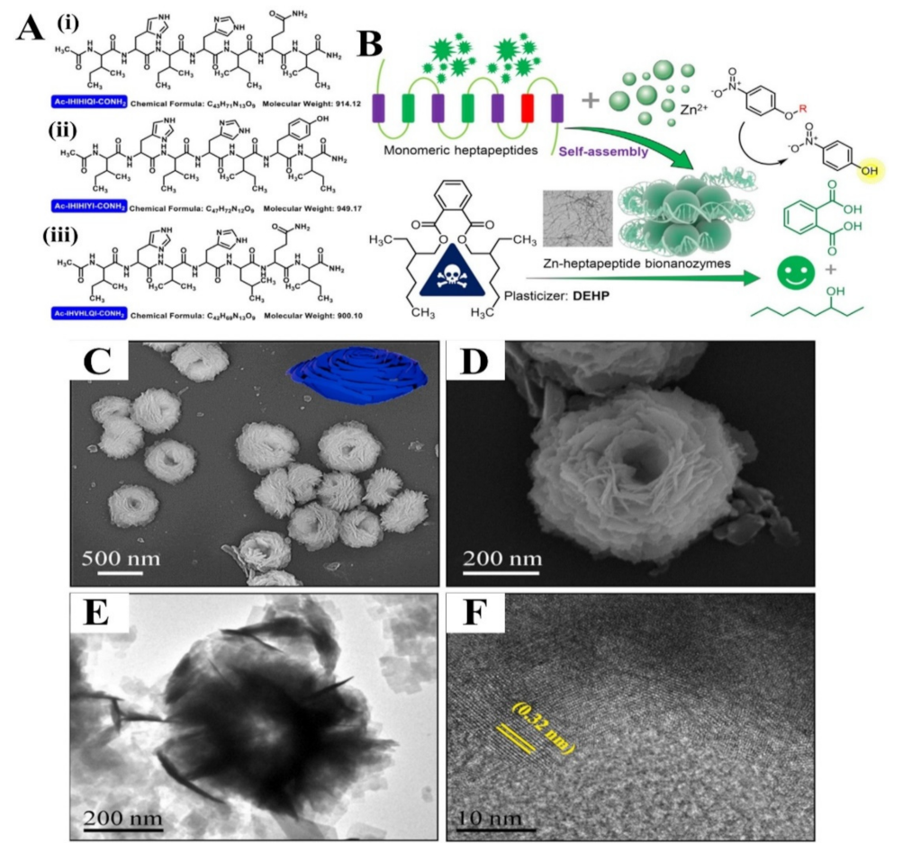 Polymers 15 00703 g011 Polymers 15 00703 g011