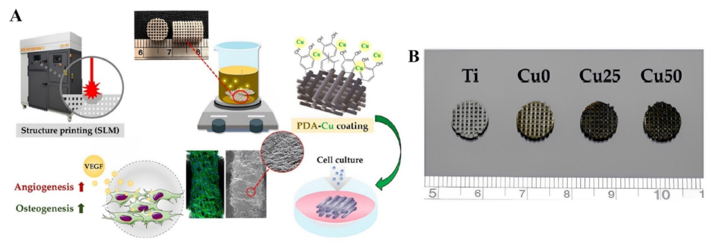Polymers 15 00703 g012 Polymers 15 00703 g012