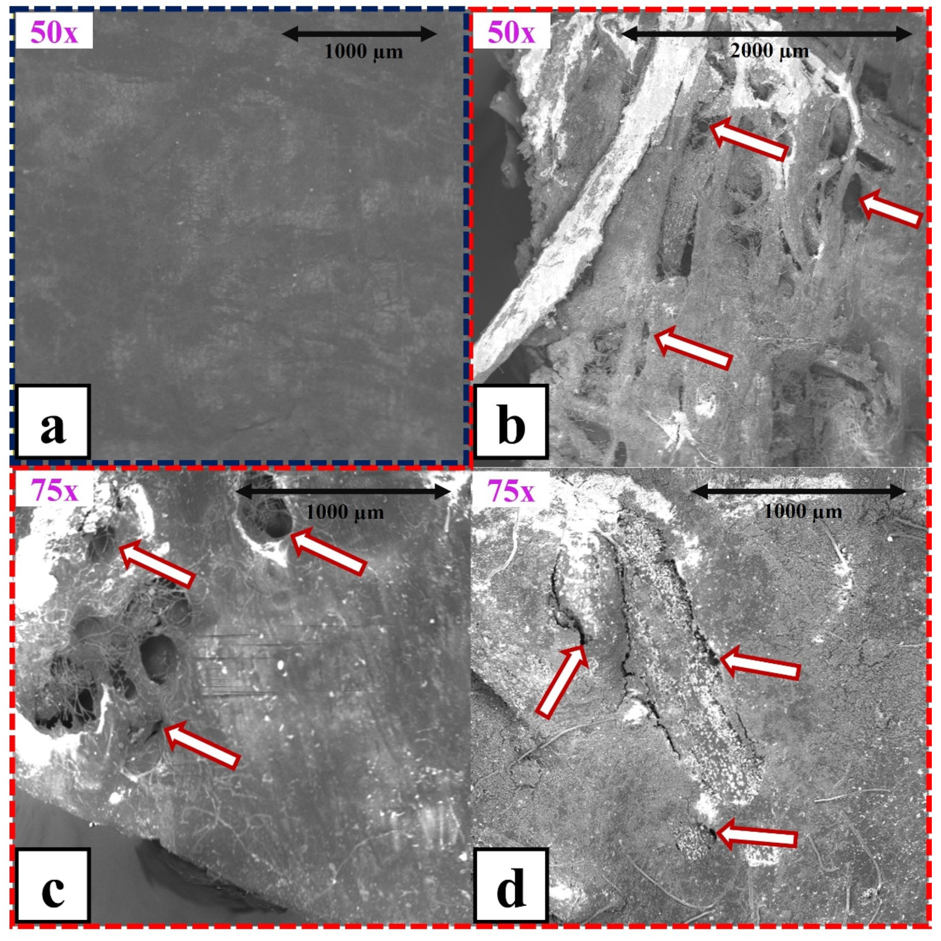 Polymers 15 00704 g009 Polymers 15 00704 g009
