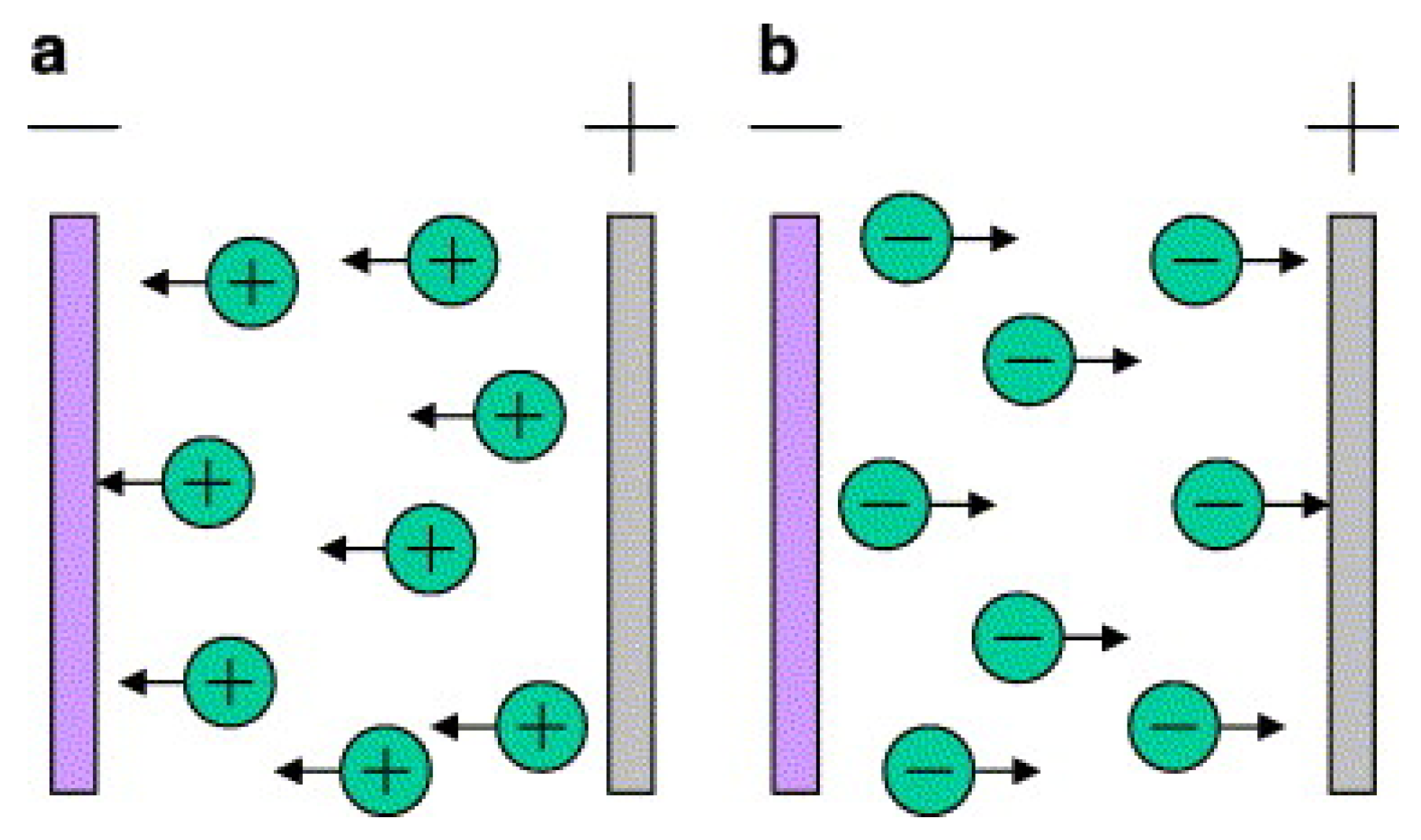 Polymers 15 00712 g003 Polymers 15 00712 g003