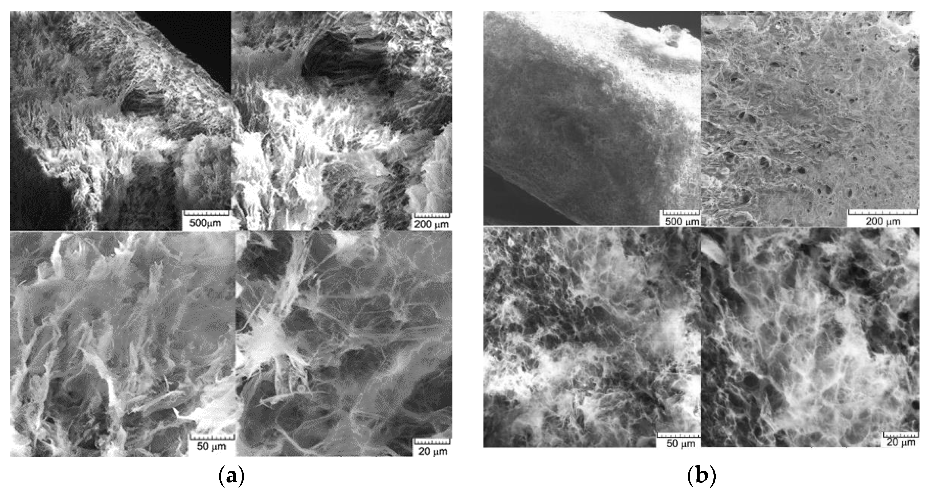 Polymers 15 00715 g003 Polymers 15 00715 g003