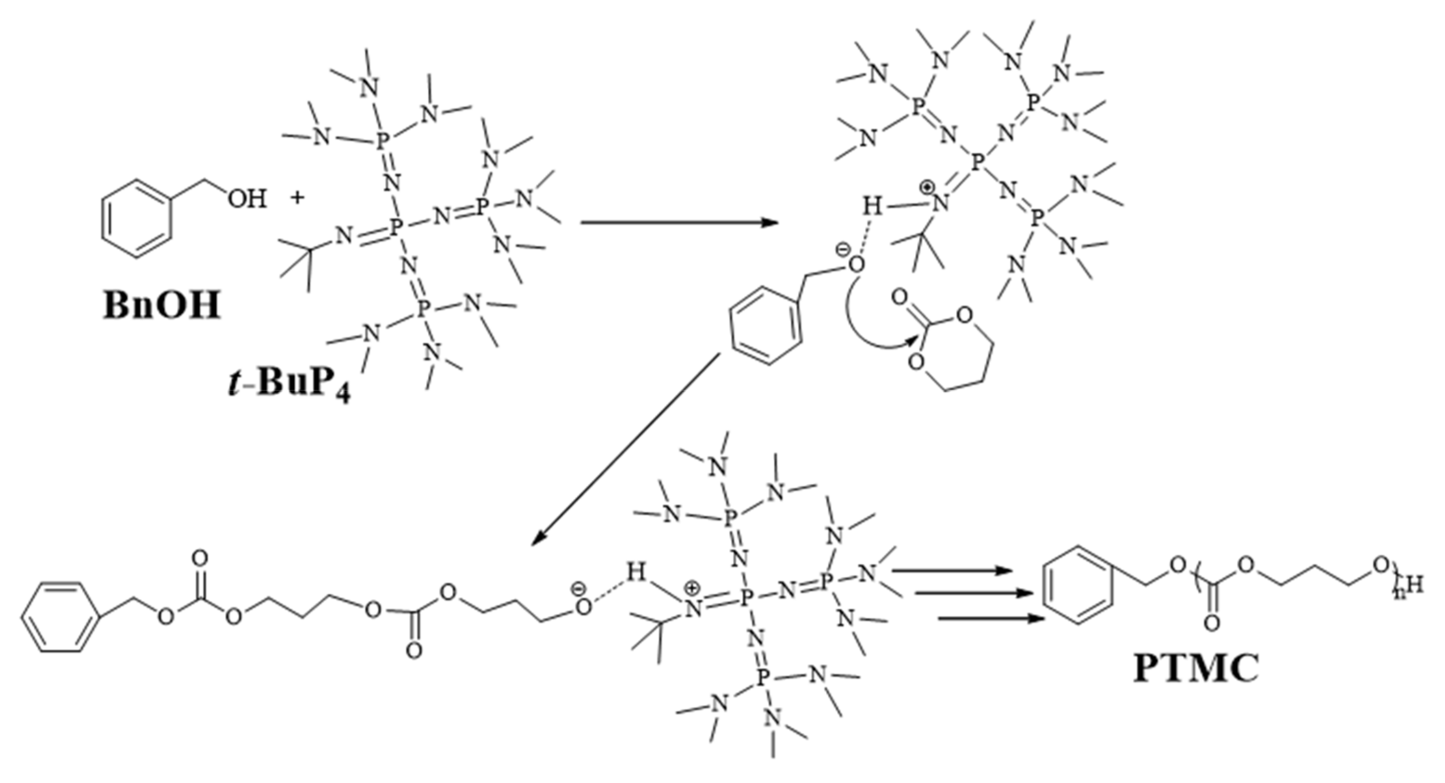 Polymers 15 00720 sch002