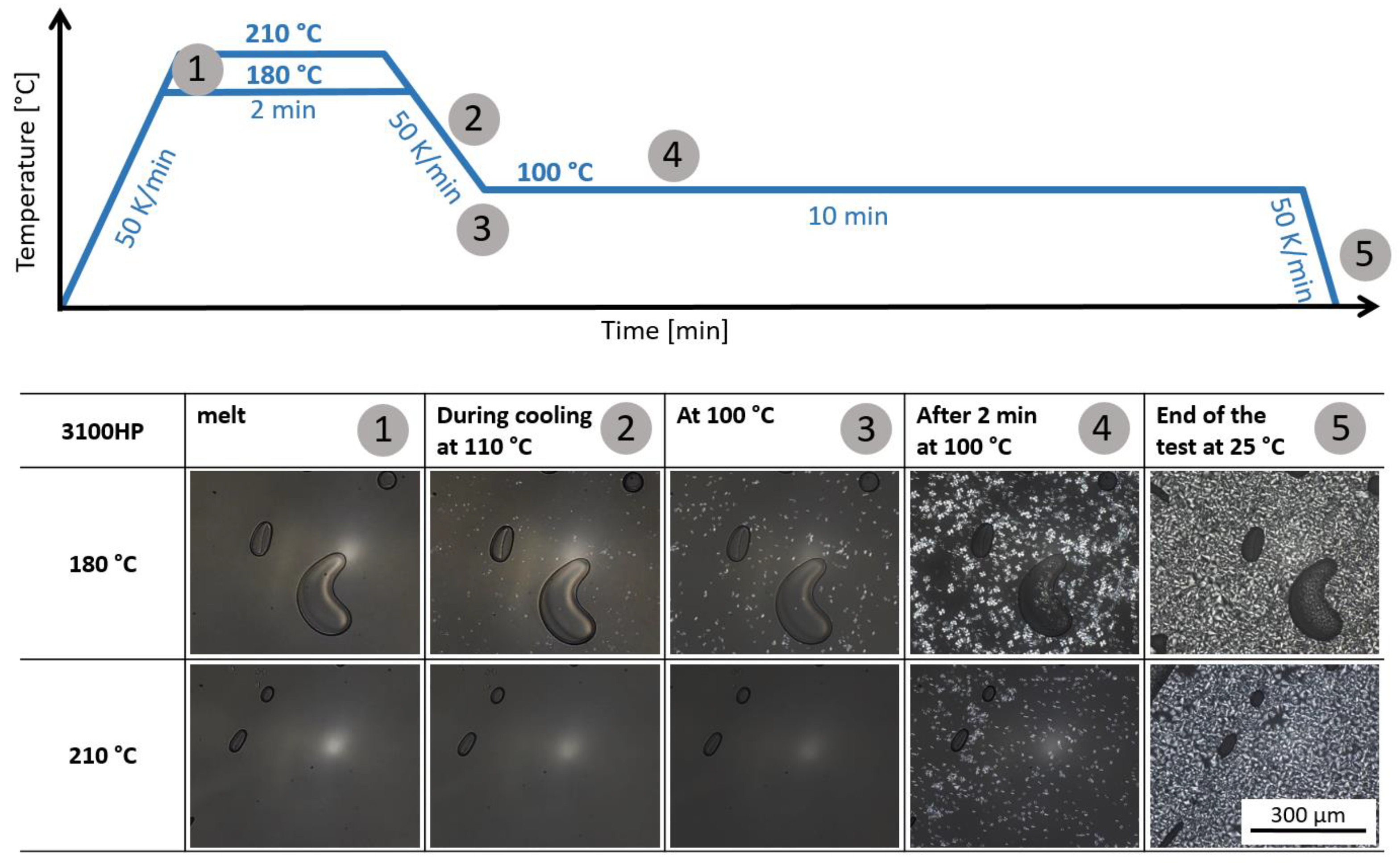 Polymers 15 00721 g004