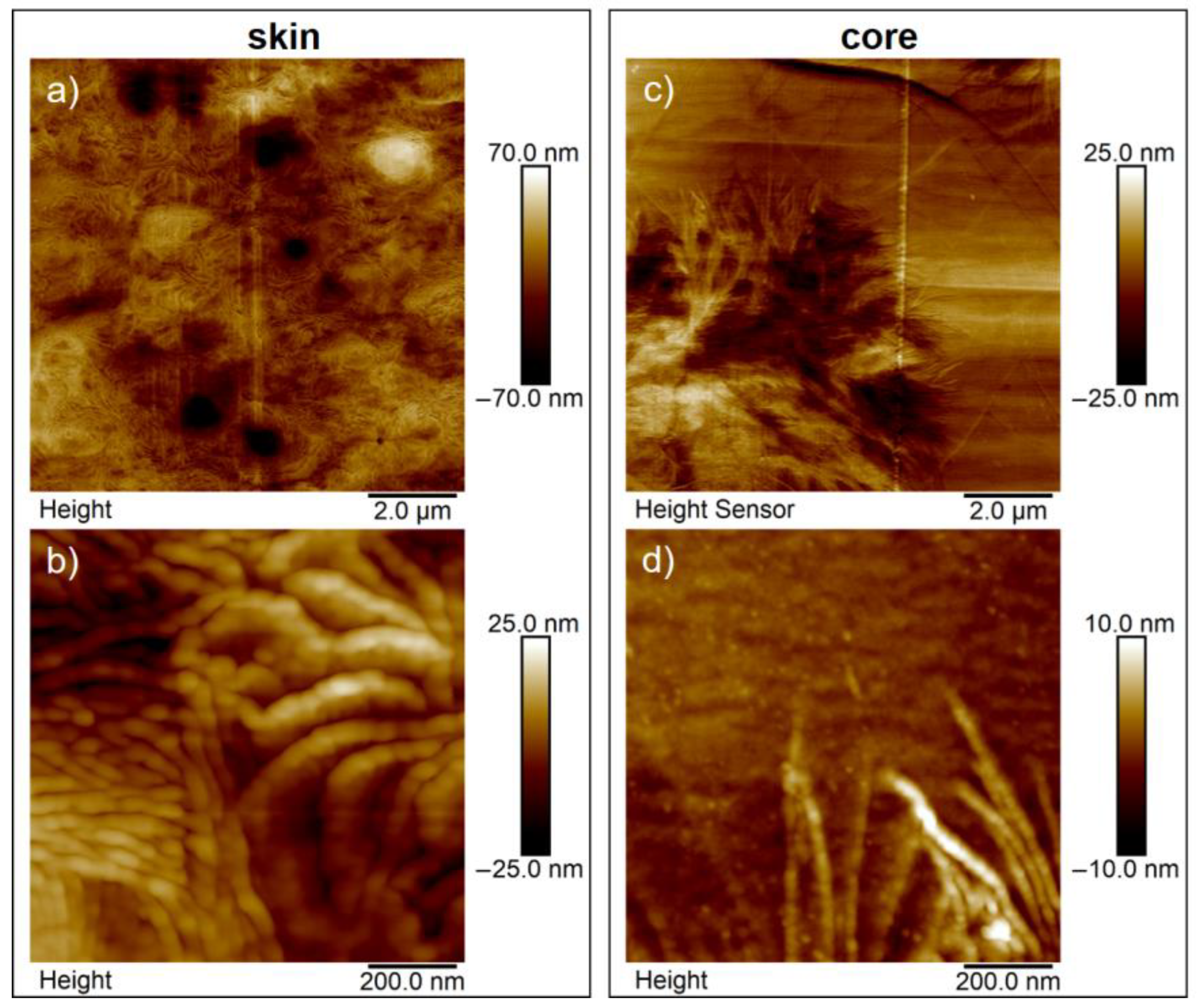Polymers 15 00721 g013