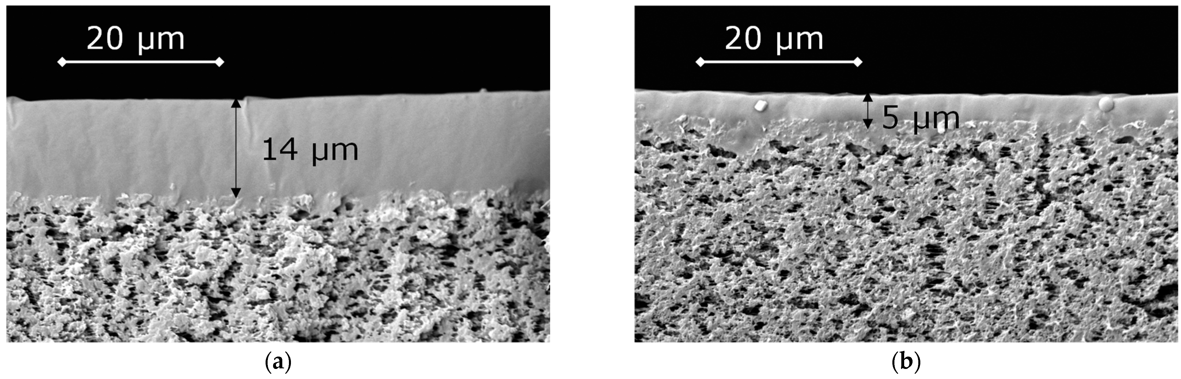 Polymers 15 00723 g007 Polymers 15 00723 g007