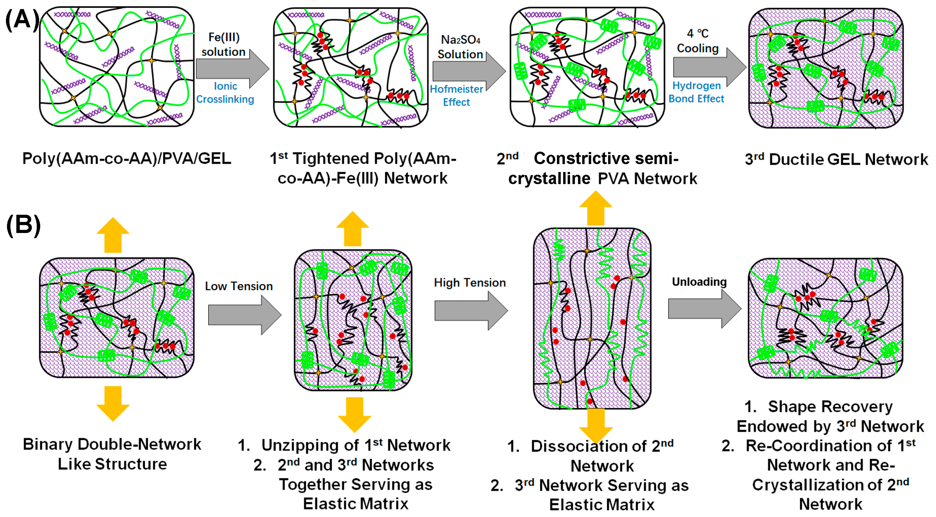 Polymers 15 00724 g001 Polymers 15 00724 g001
