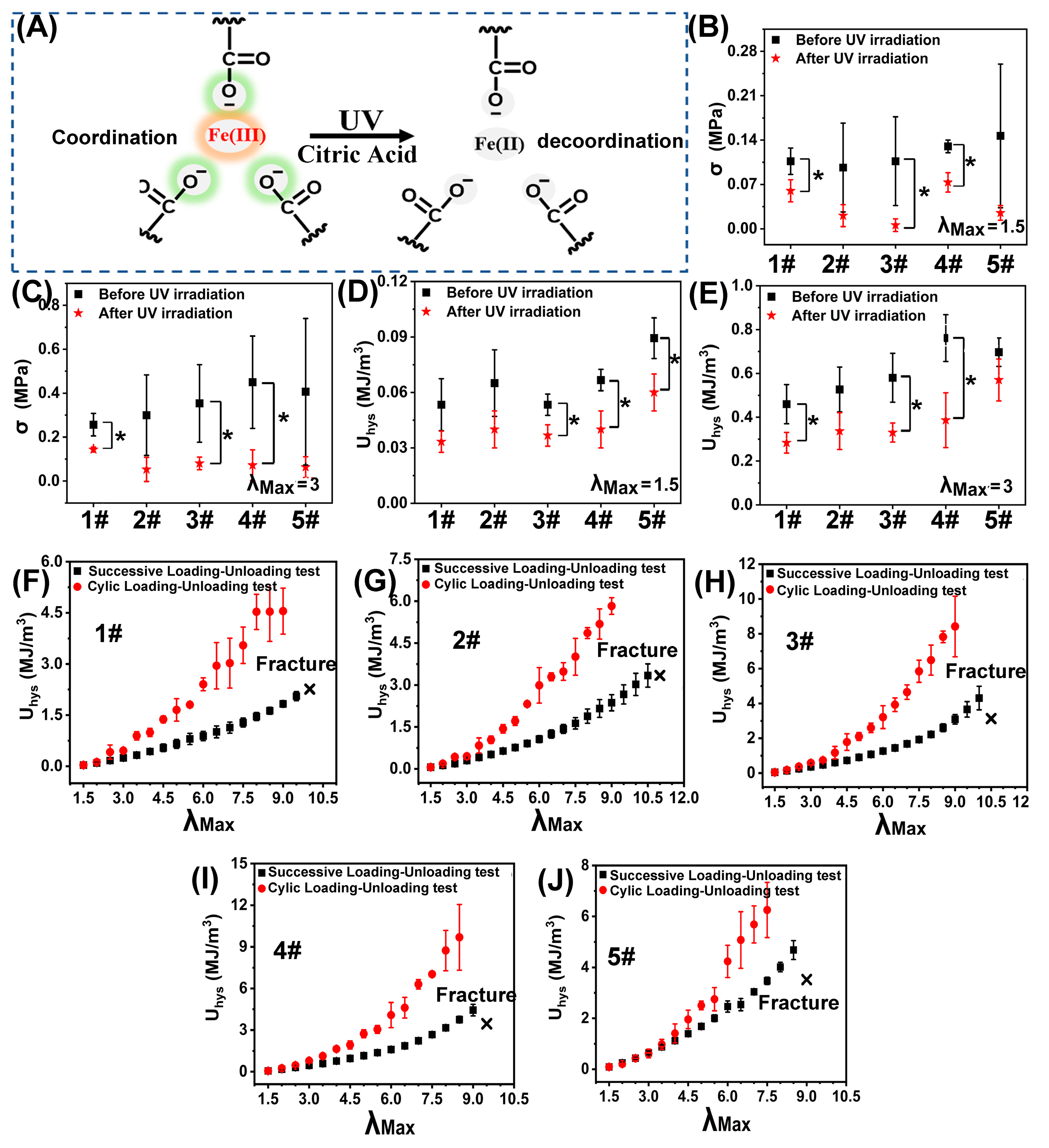Polymers 15 00724 g003 Polymers 15 00724 g003