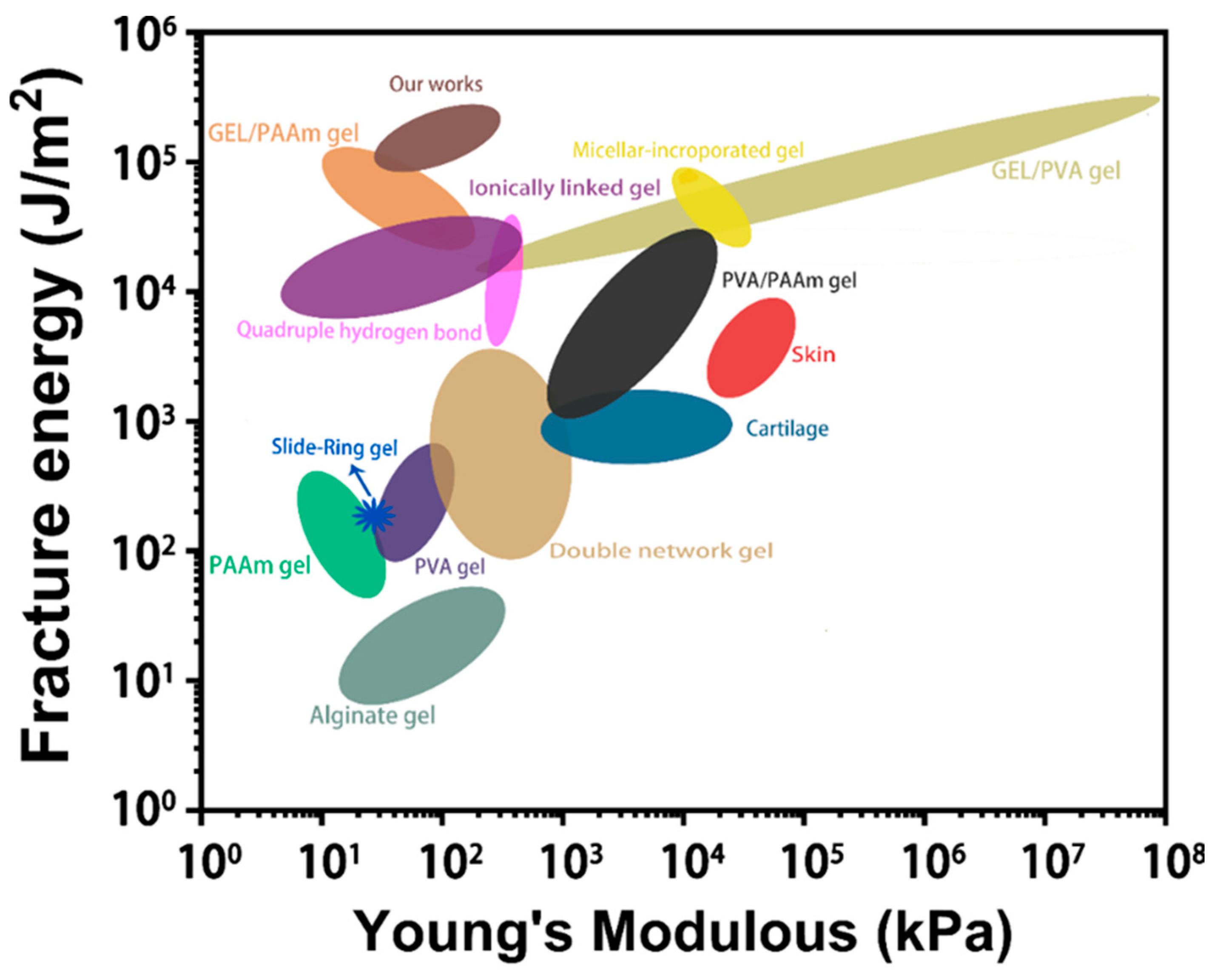 Polymers 15 00724 g005