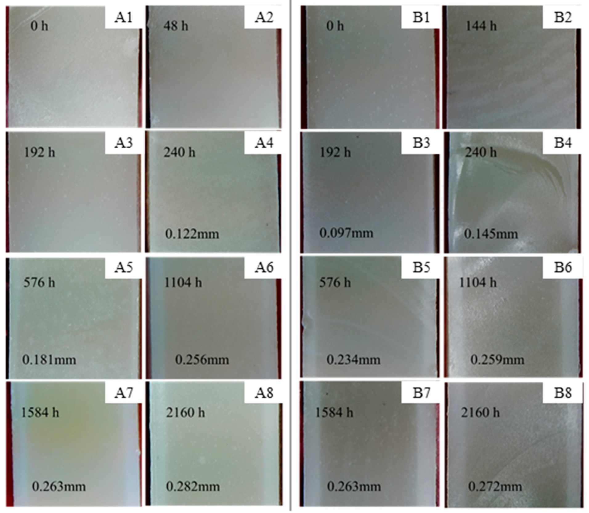 Polymers 15 00725 g005