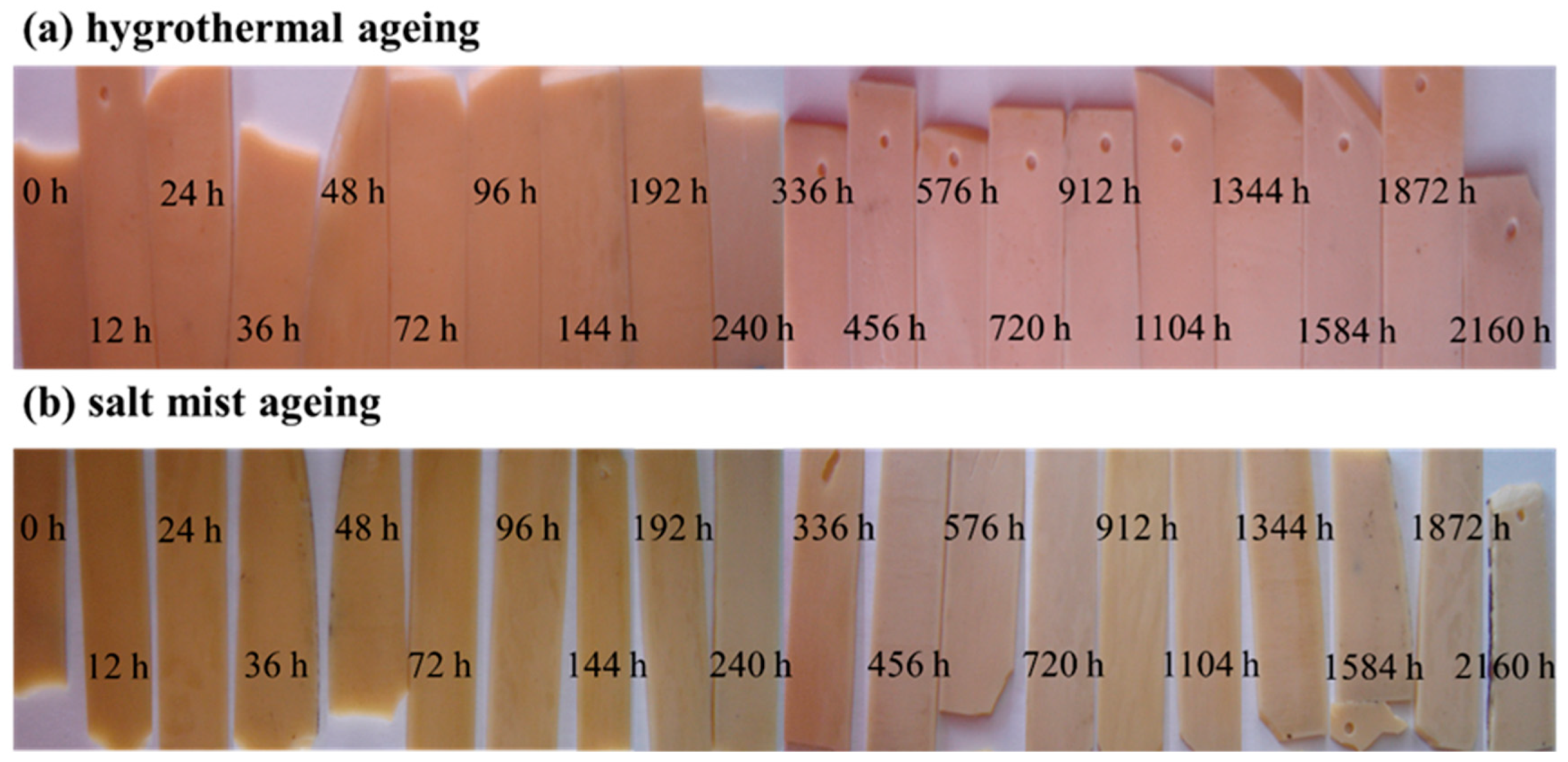 Polymers 15 00725 g006