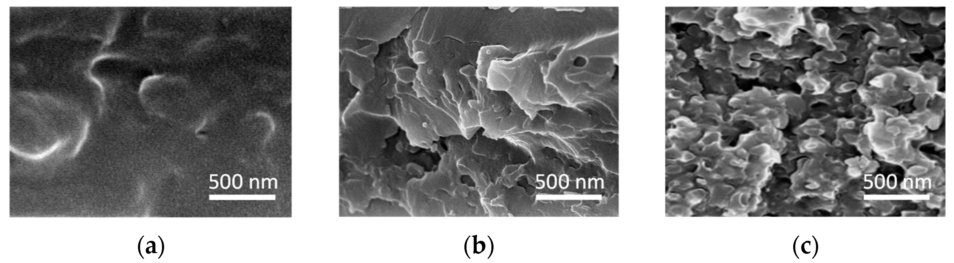 Polymers 15 00726 g002