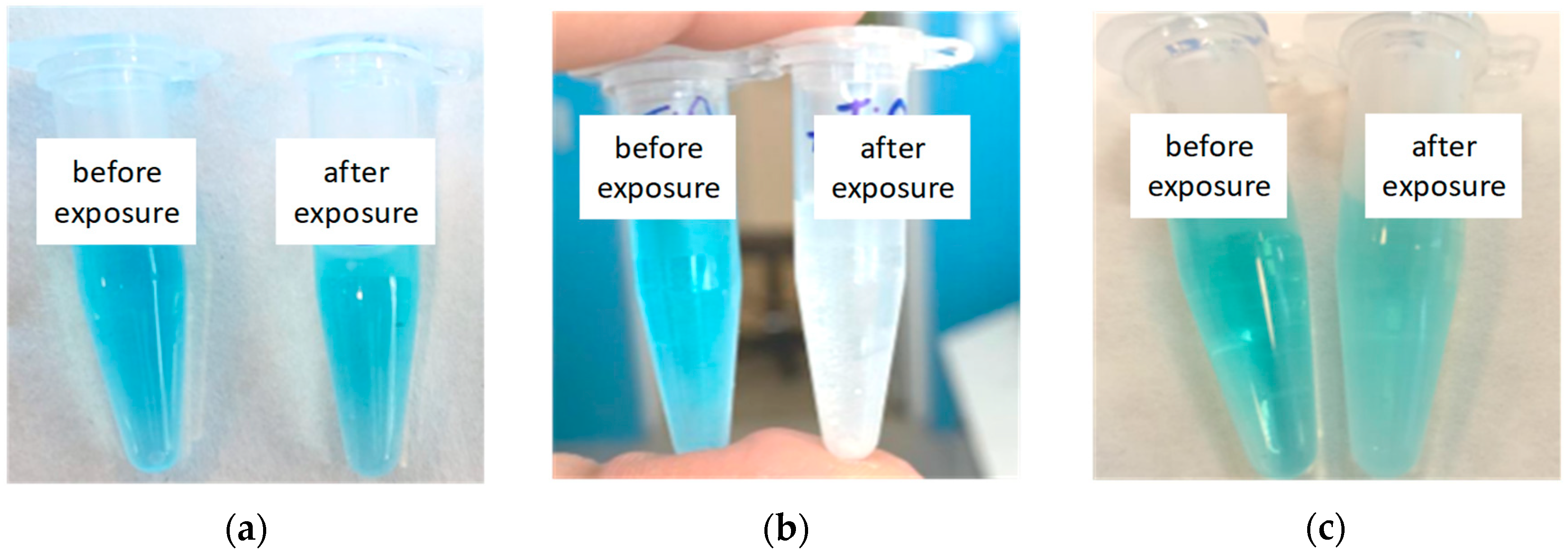 Polymers 15 00726 g006