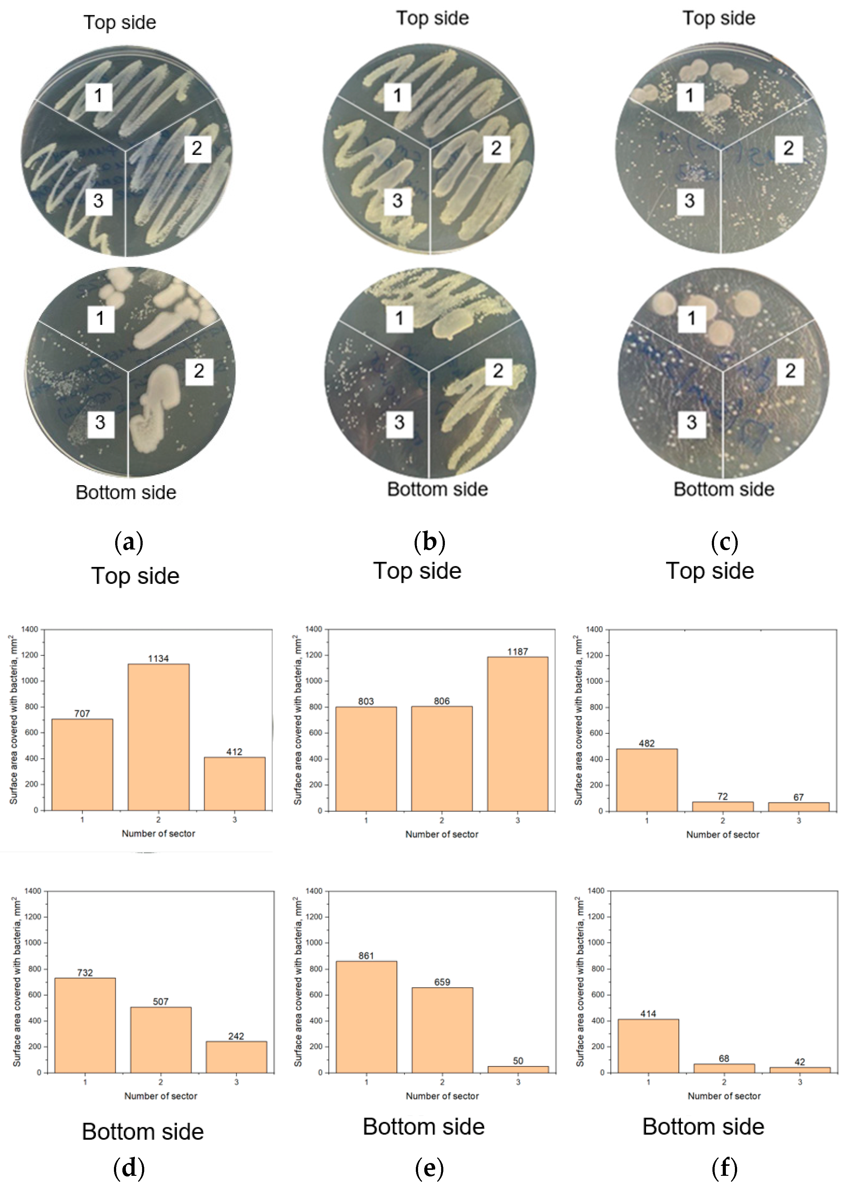 Polymers 15 00726 g007