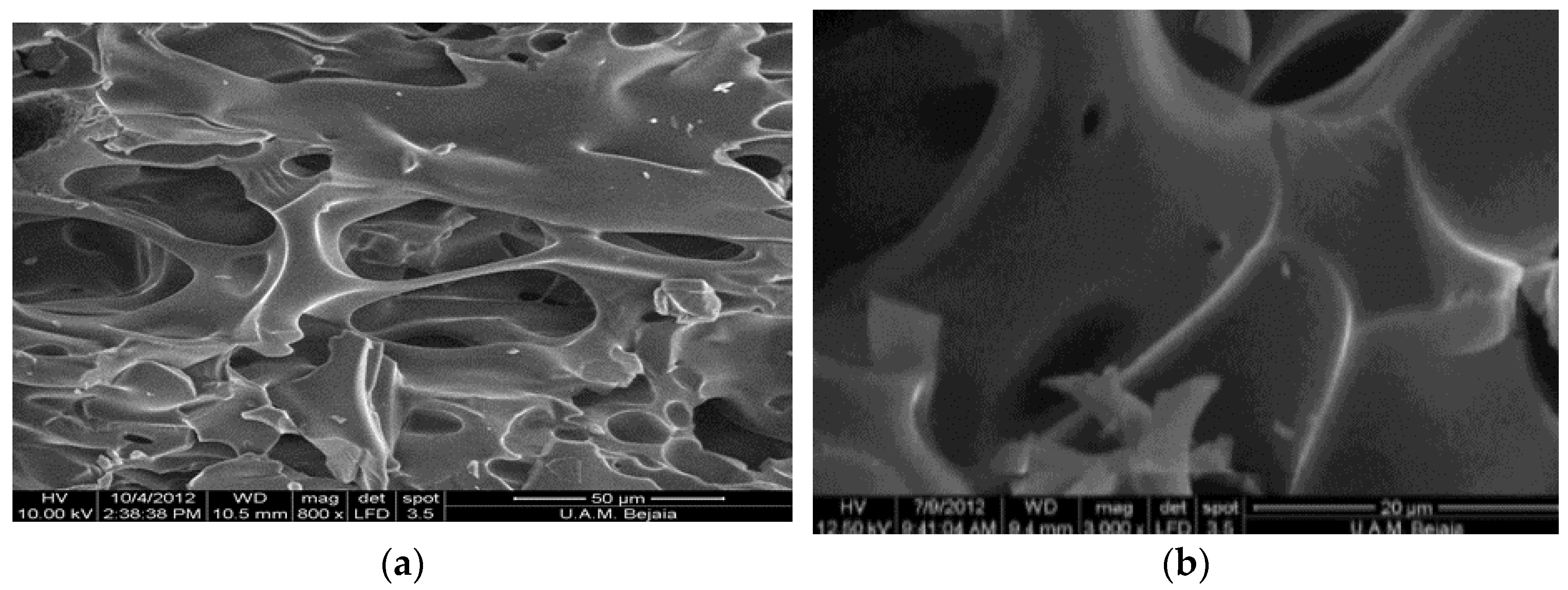 Polymers 15 00732 g003 Polymers 15 00732 g003