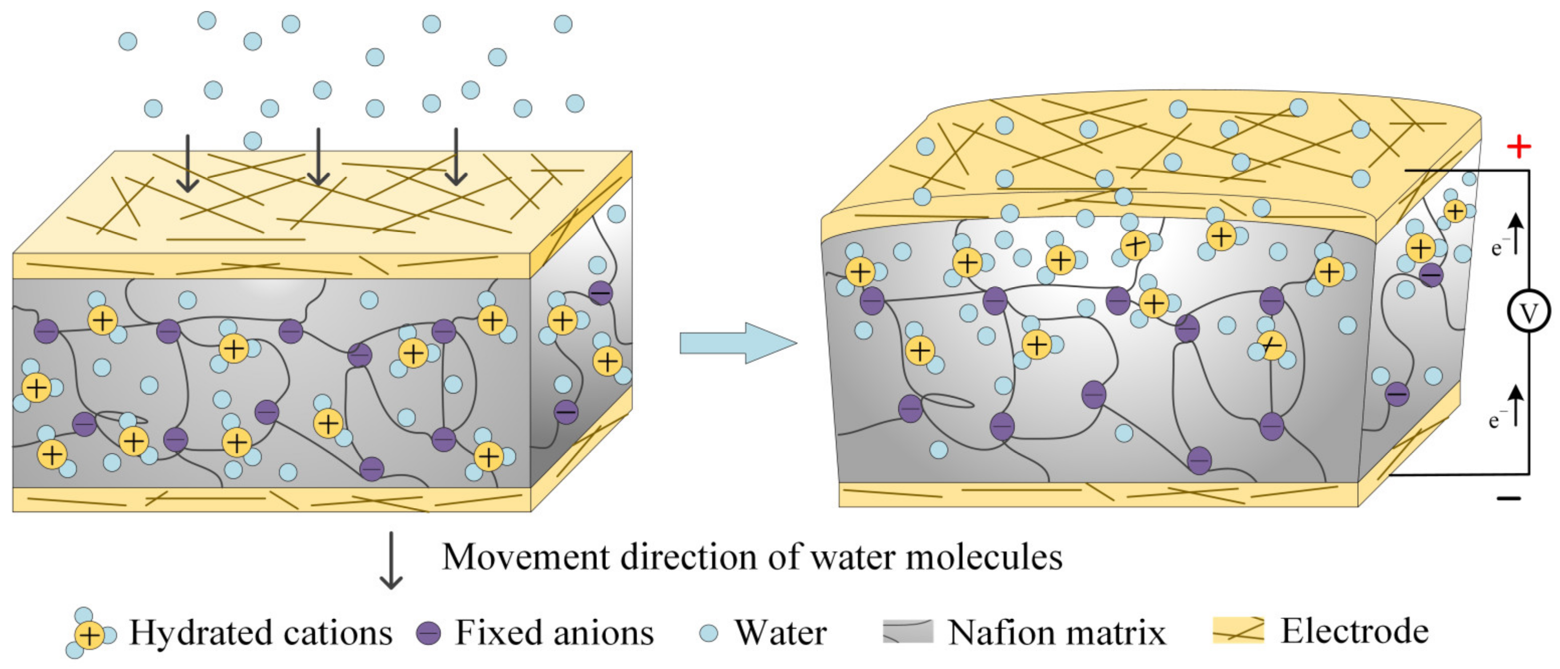 Polymers 15 00733 g001