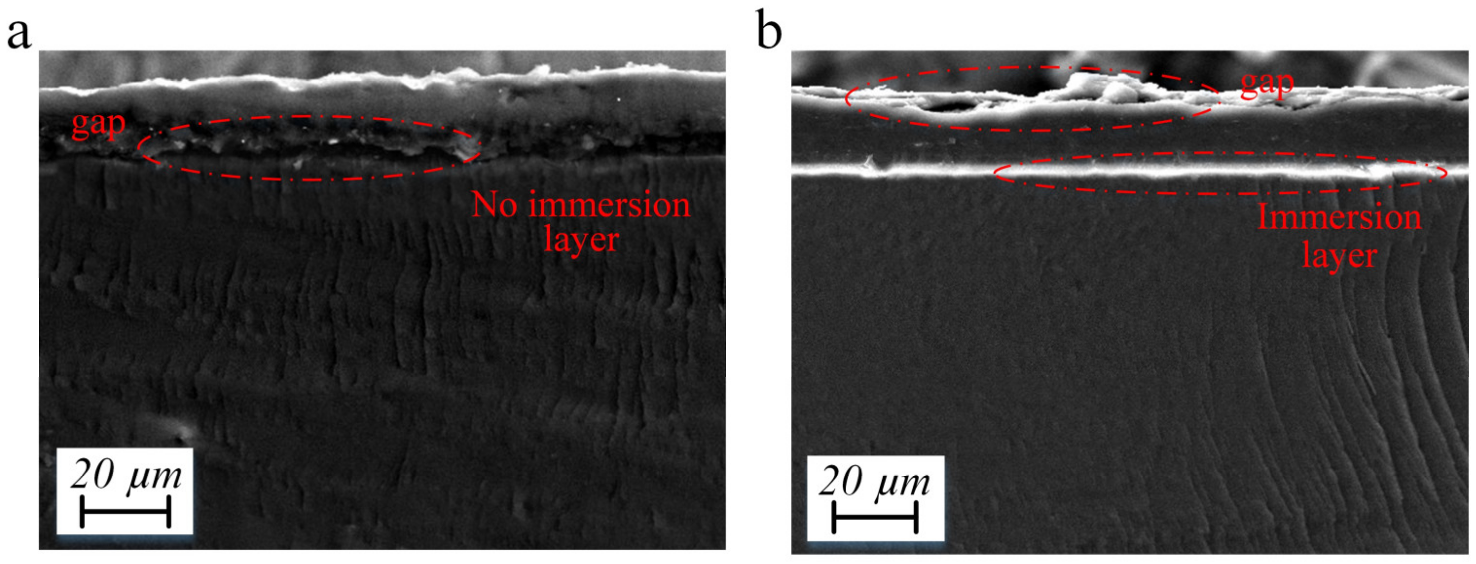 Polymers 15 00733 g004