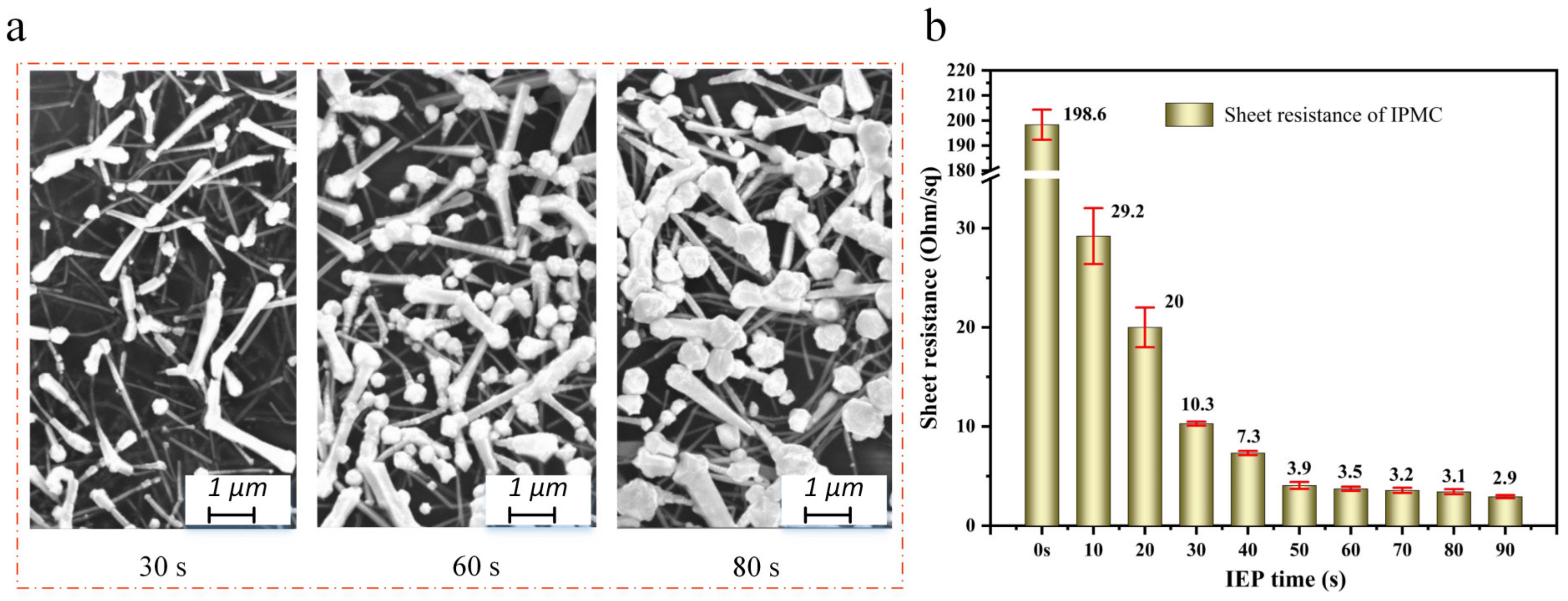 Polymers 15 00733 g005