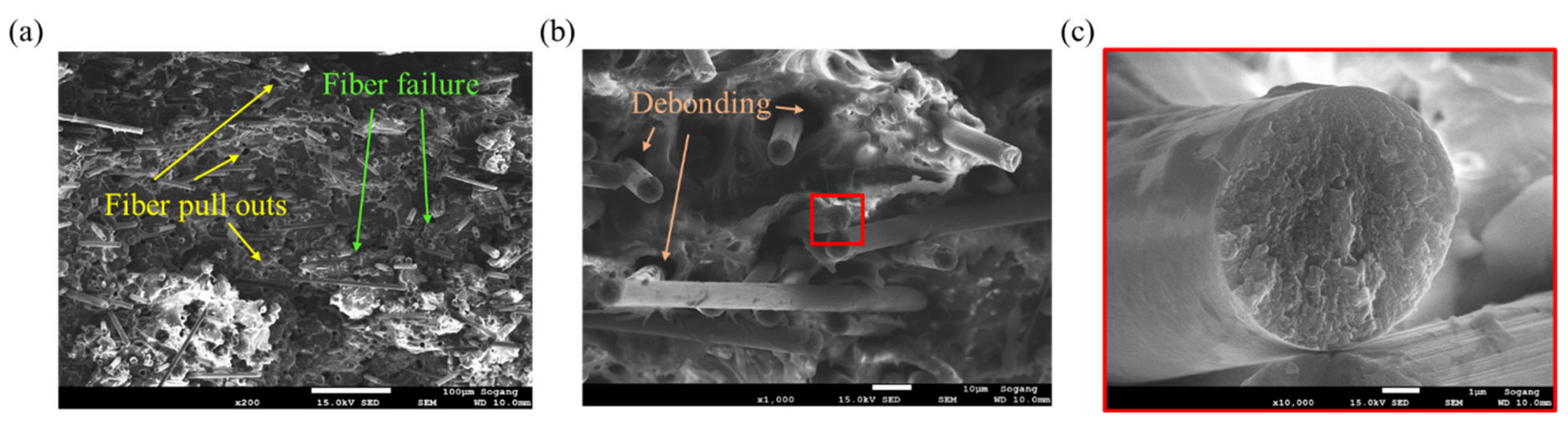 Polymers 15 00738 g010 Polymers 15 00738 g010