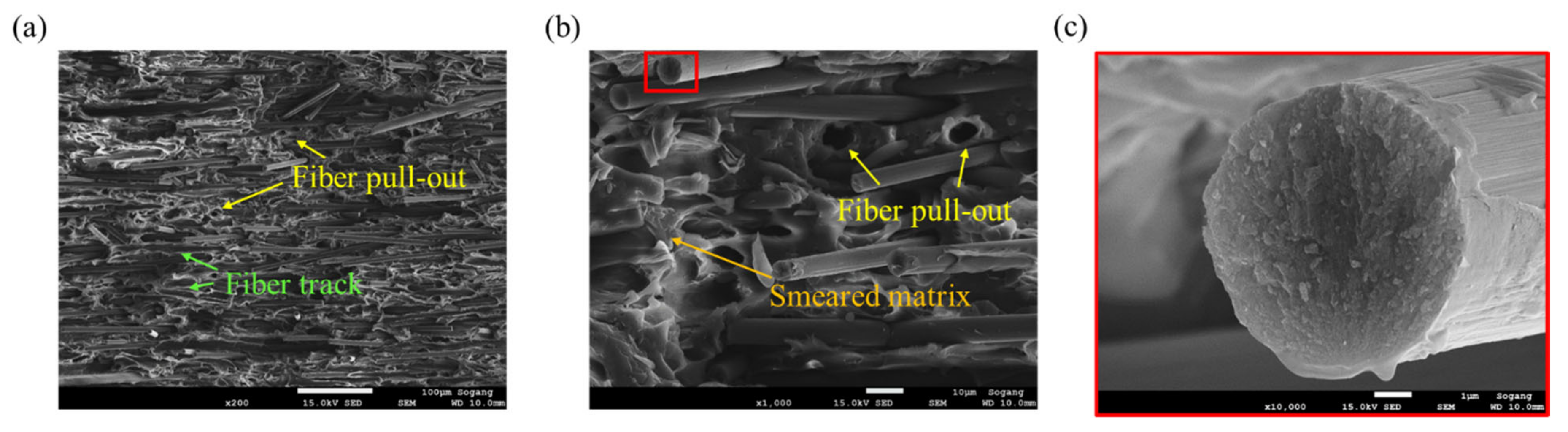 Polymers 15 00738 g012 Polymers 15 00738 g012