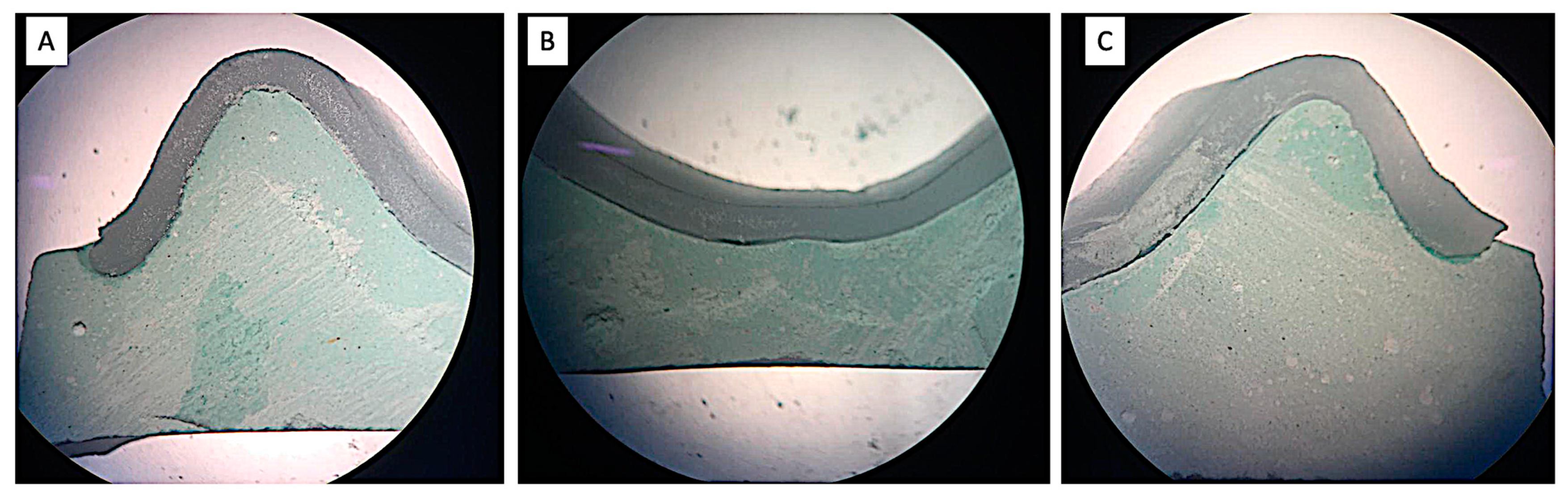 Polymers 15 00744 g006