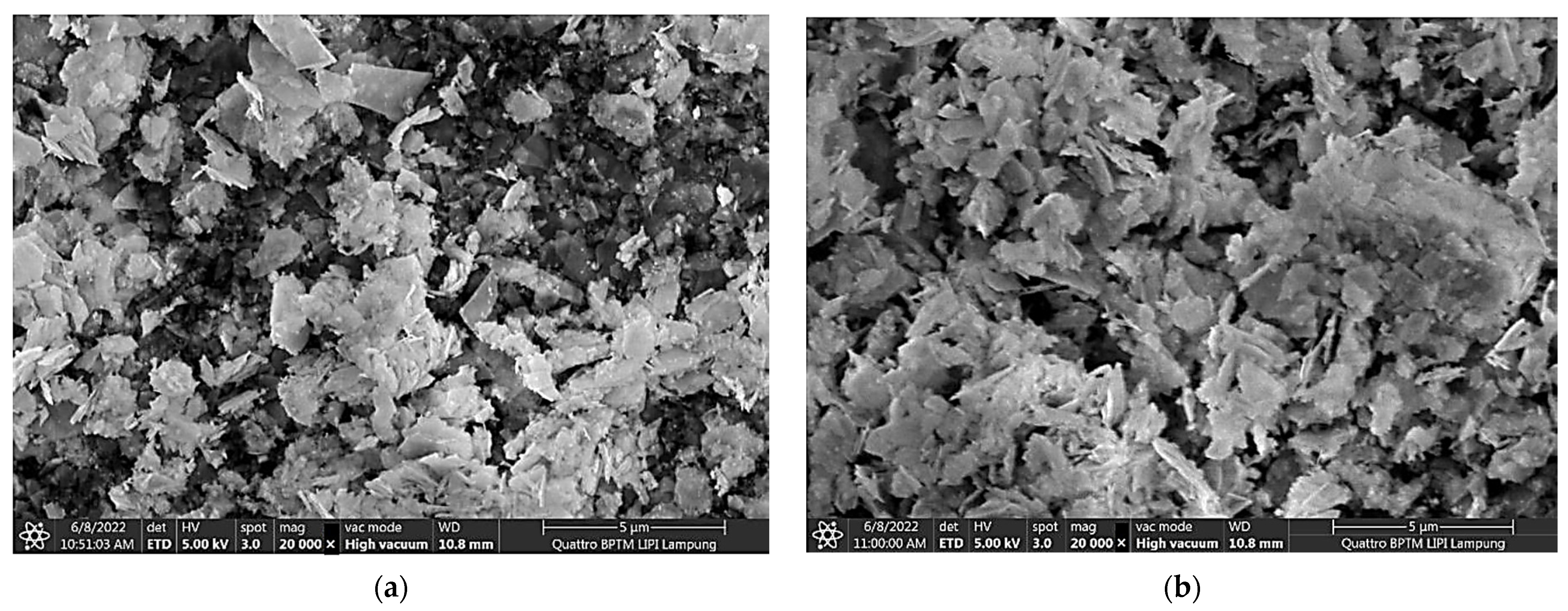 Polymers 15 00746 g003a