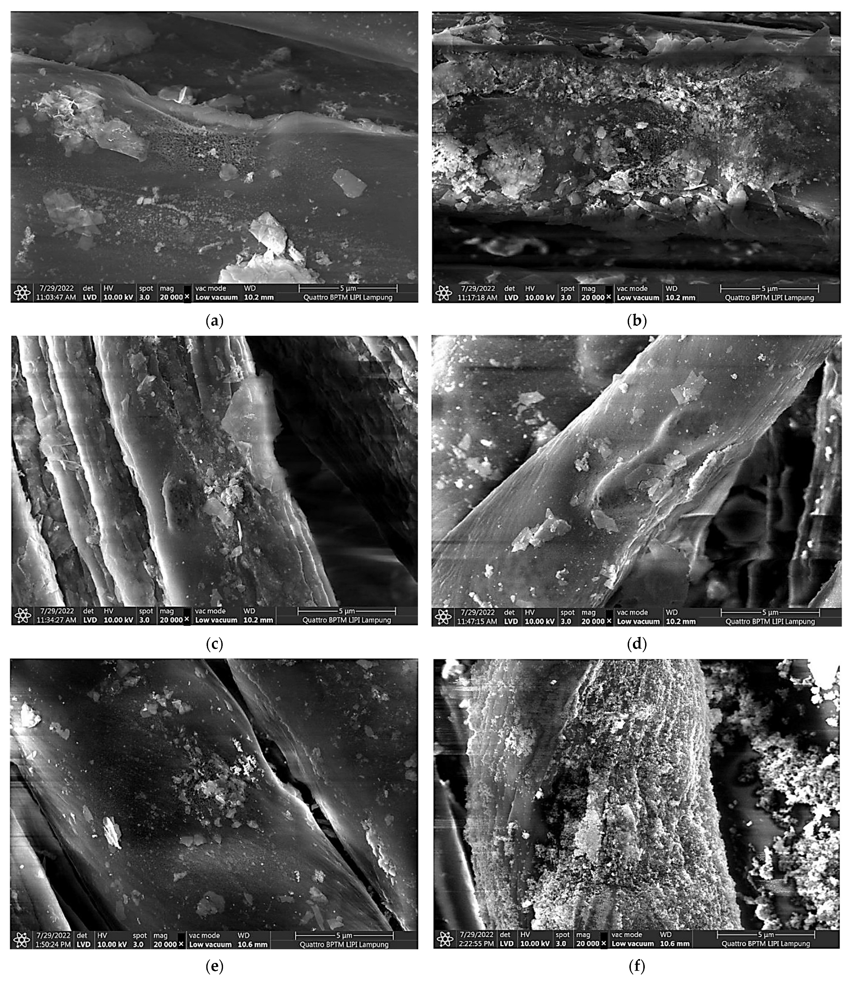 Polymers 15 00746 g004