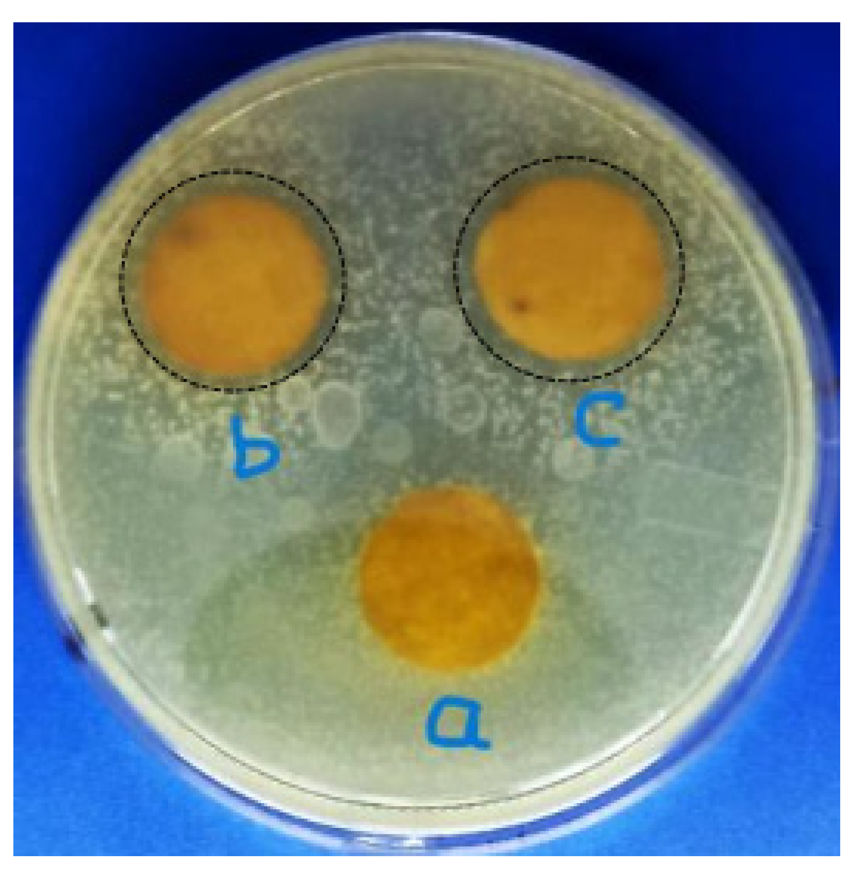 Polymers 15 00746 g008