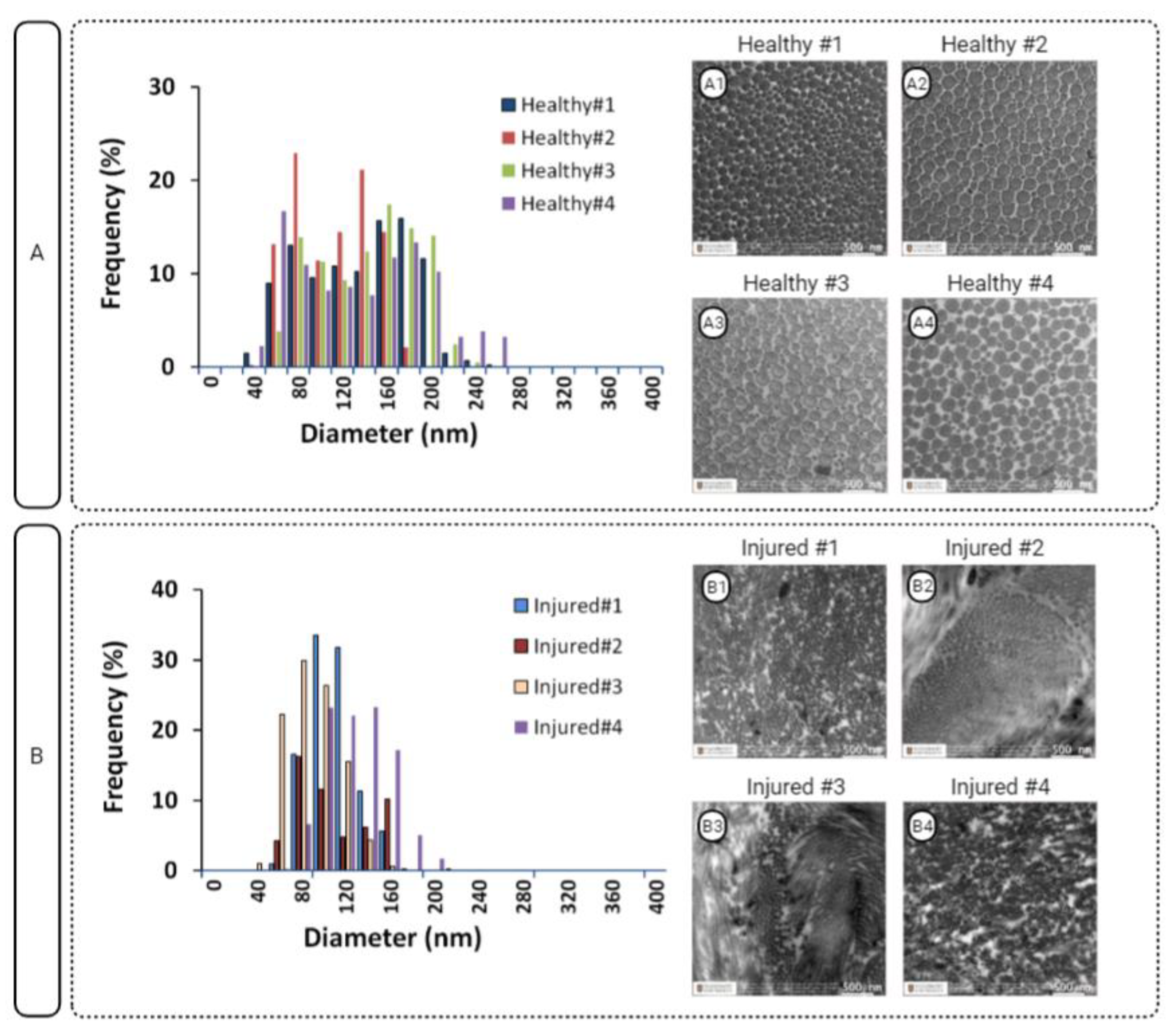 Polymers 15 00752 g002 Polymers 15 00752 g002
