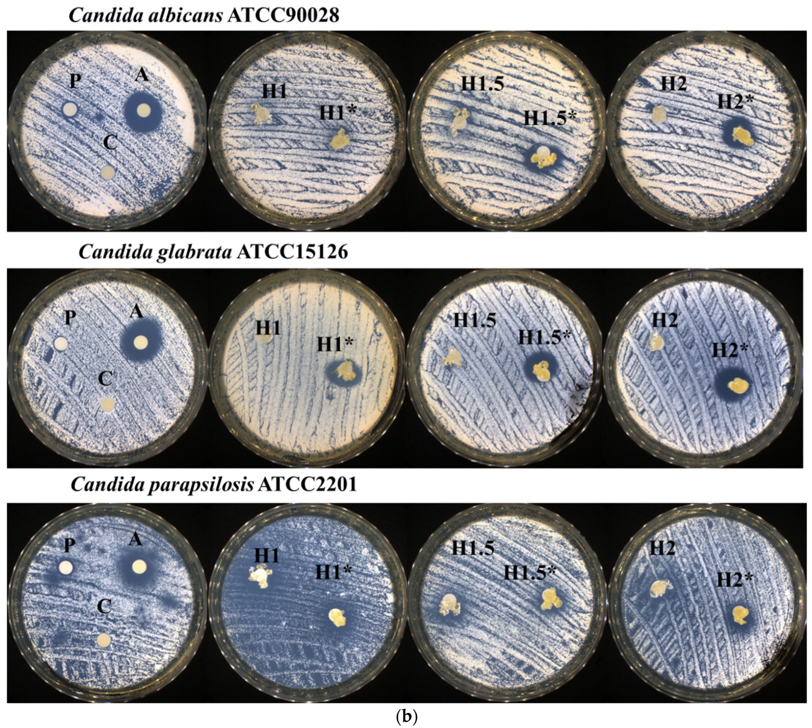 Polymers 15 00753 g007b 550