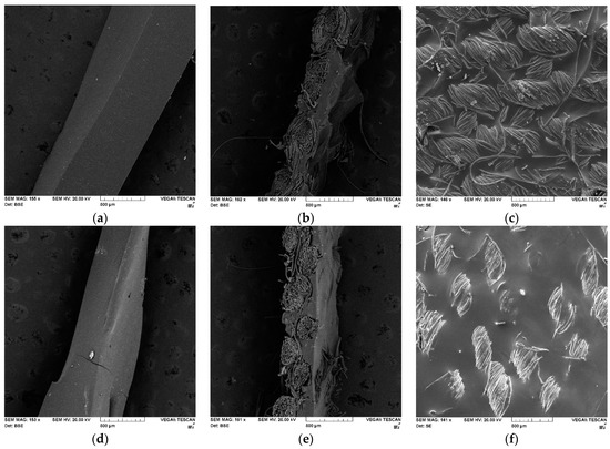 Effect of Aromatic Chain Extenders on Polyurea and Polyurethane ...