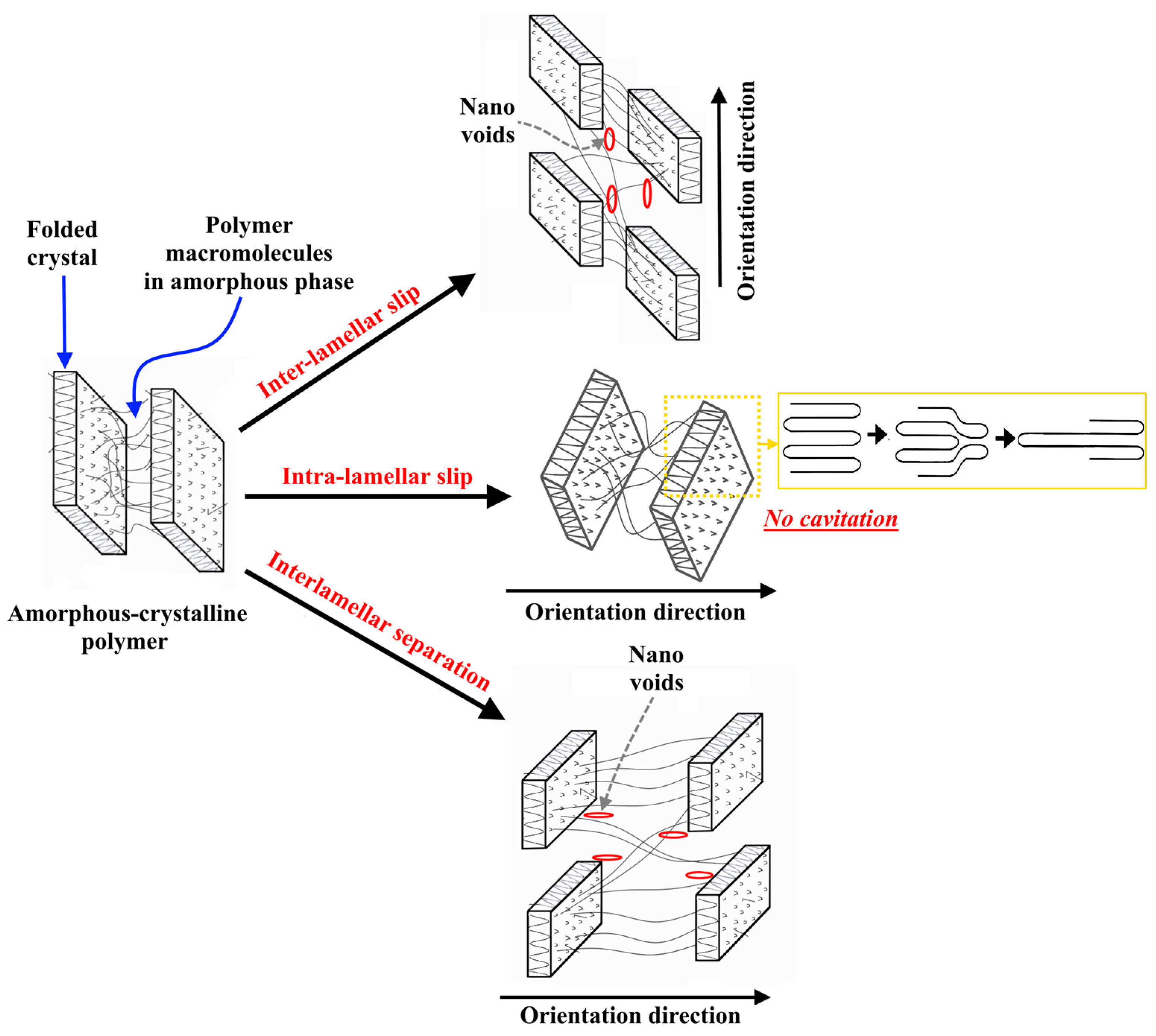 Polymers 15 00758 g001