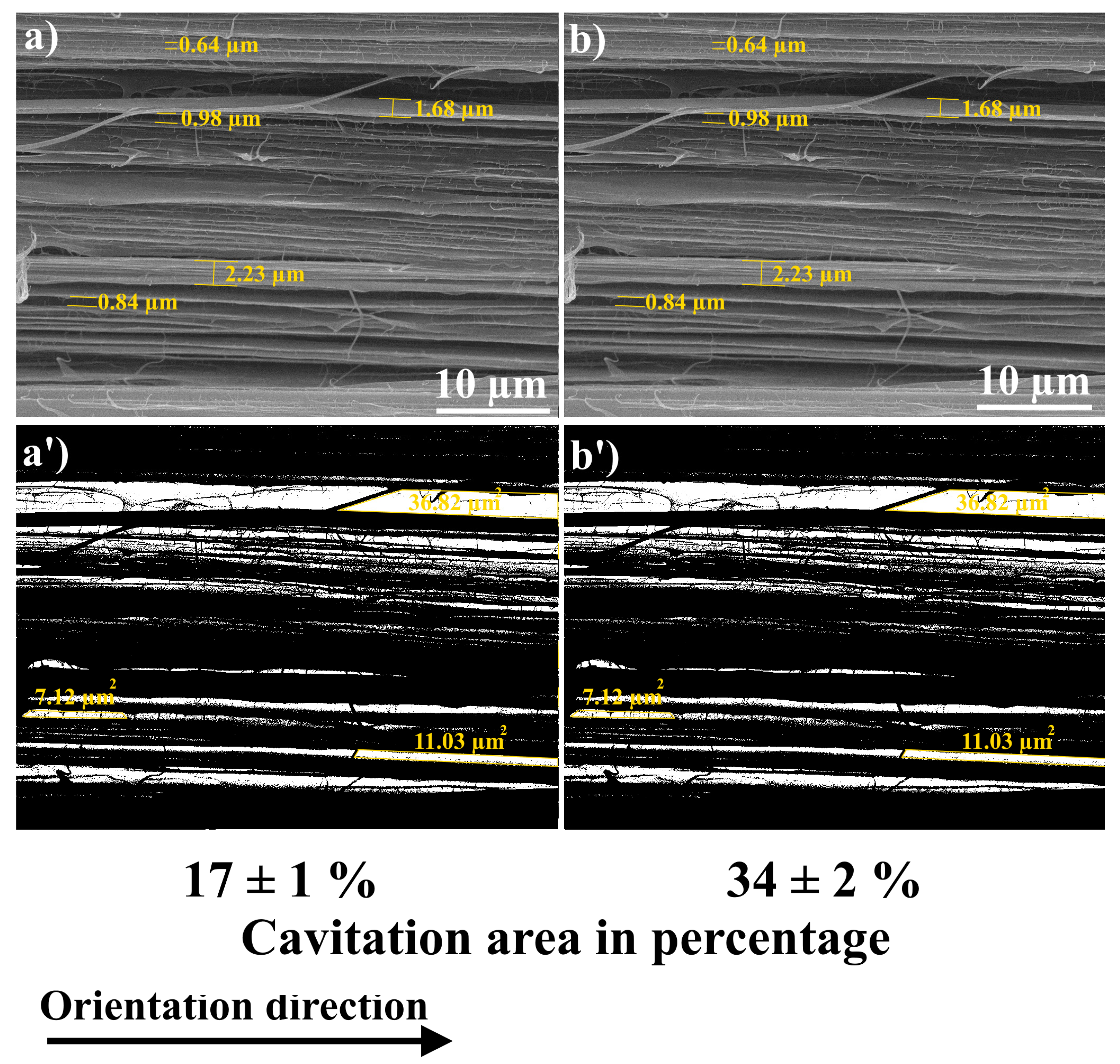 Polymers 15 00758 g007