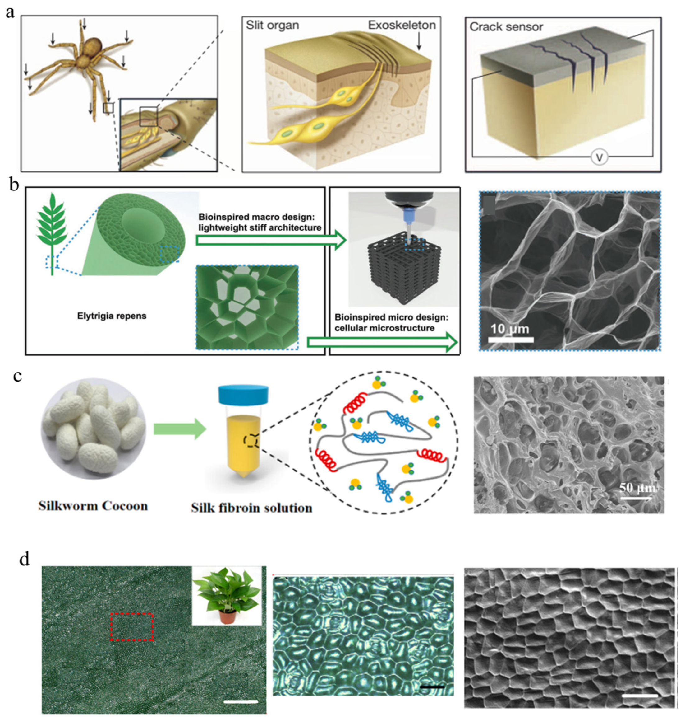 Polymers 15 00764 g005