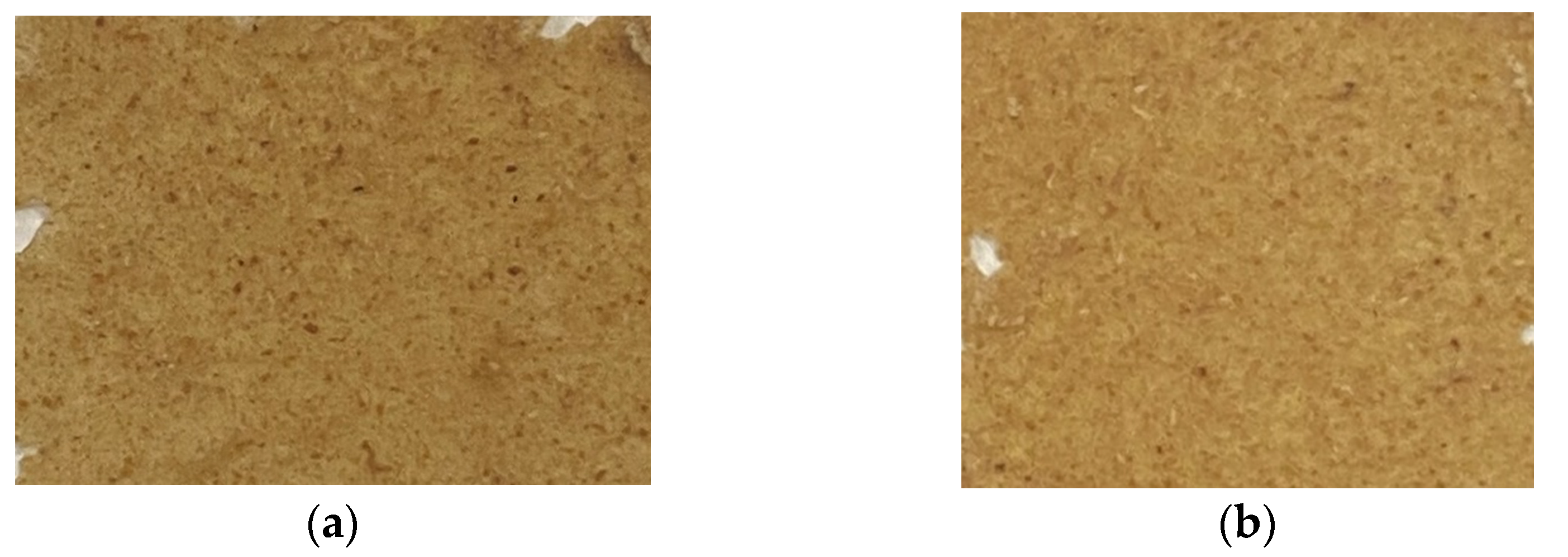 Polymers 15 00767 g002 Polymers 15 00767 g002