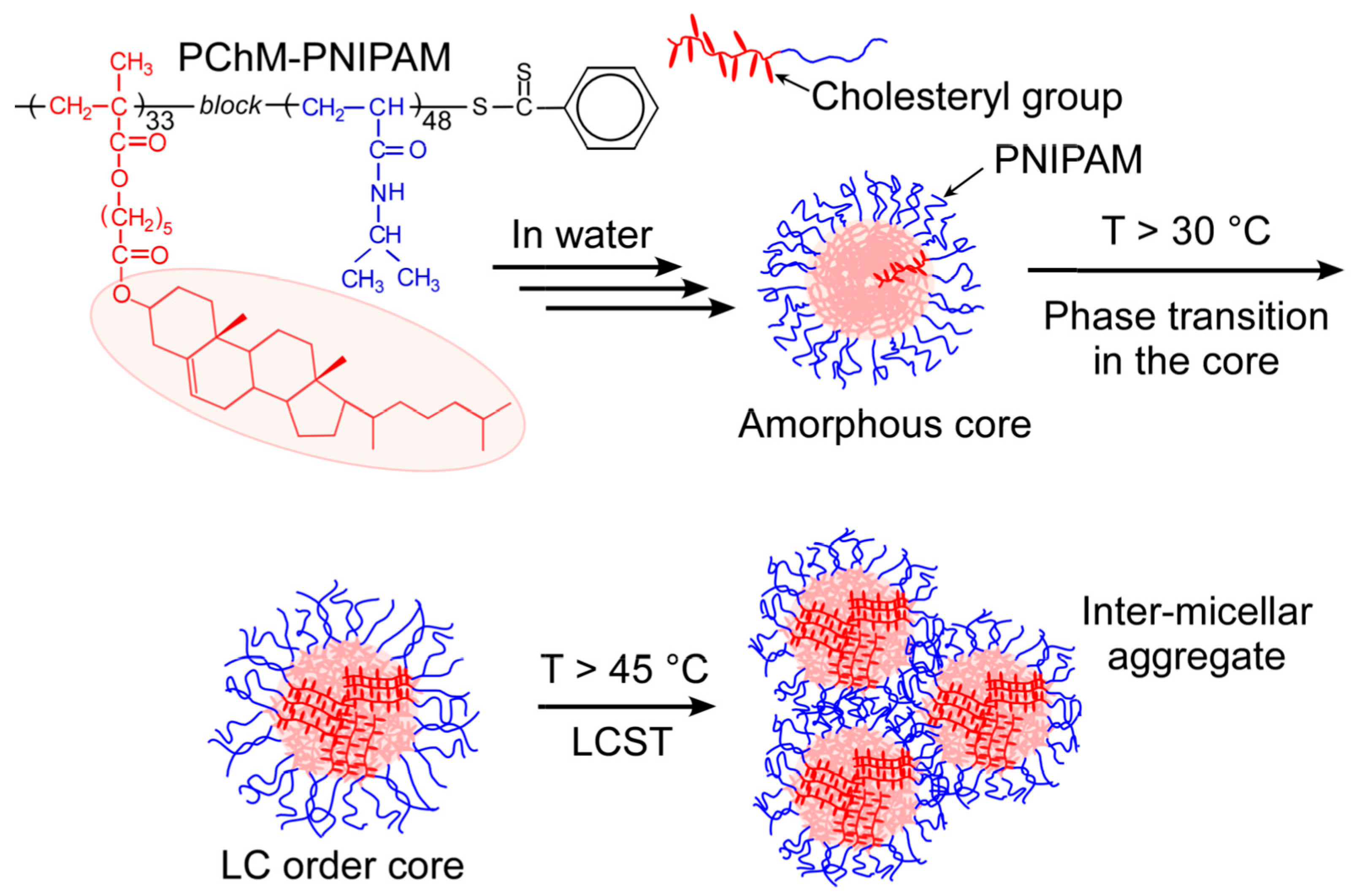 Polymers 15 00770 g001 550
