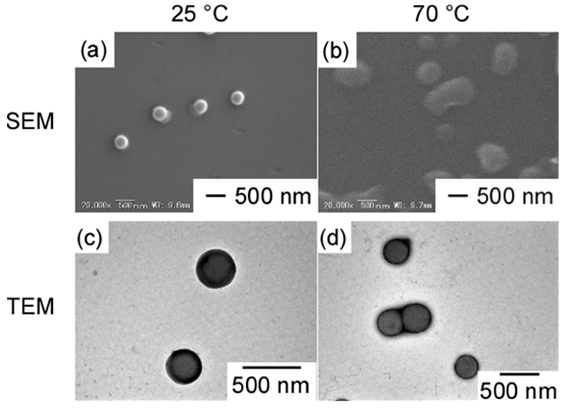 Polymers 15 00770 g006 550